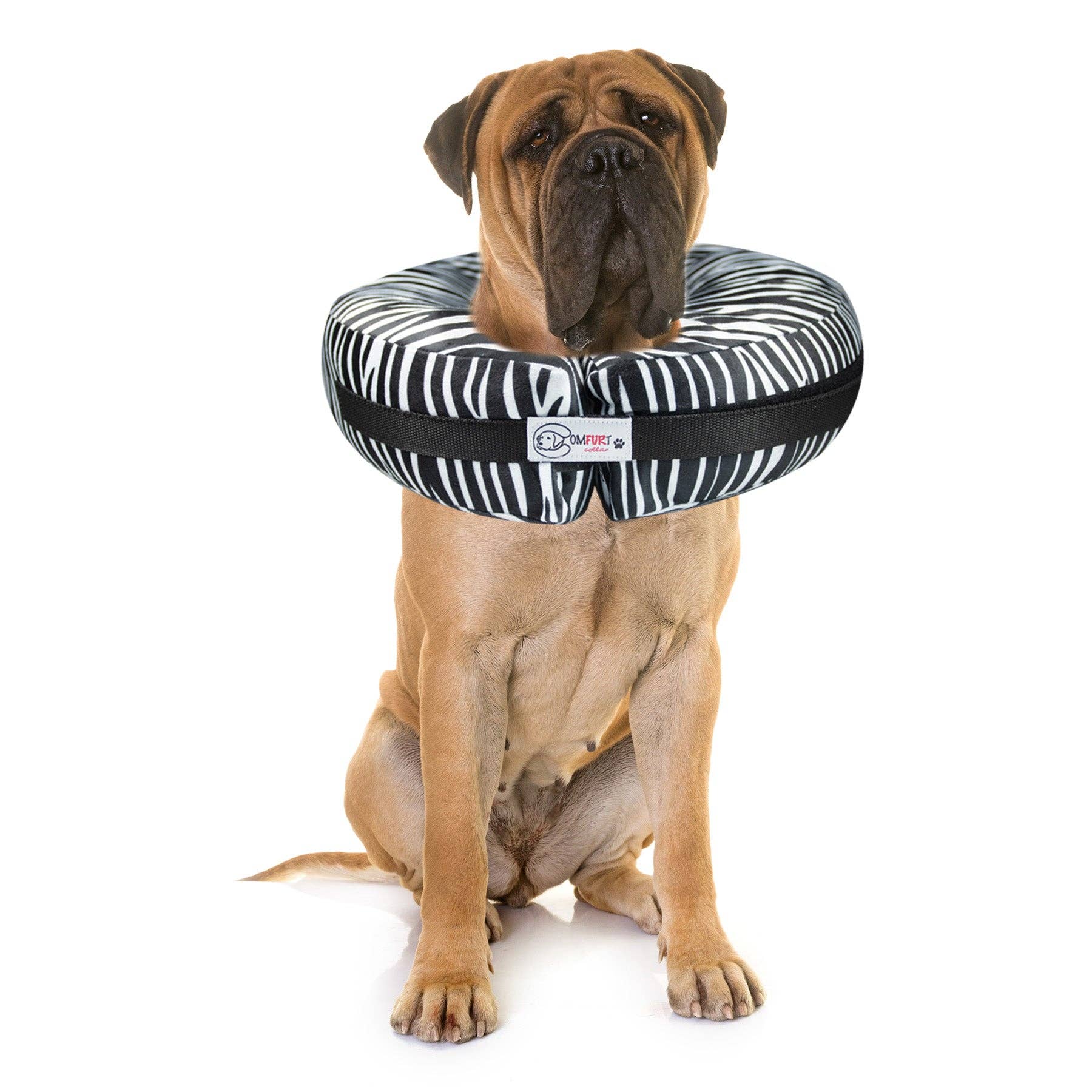 Comfurt Collar - Zebra - Pet Recovery Collar: M