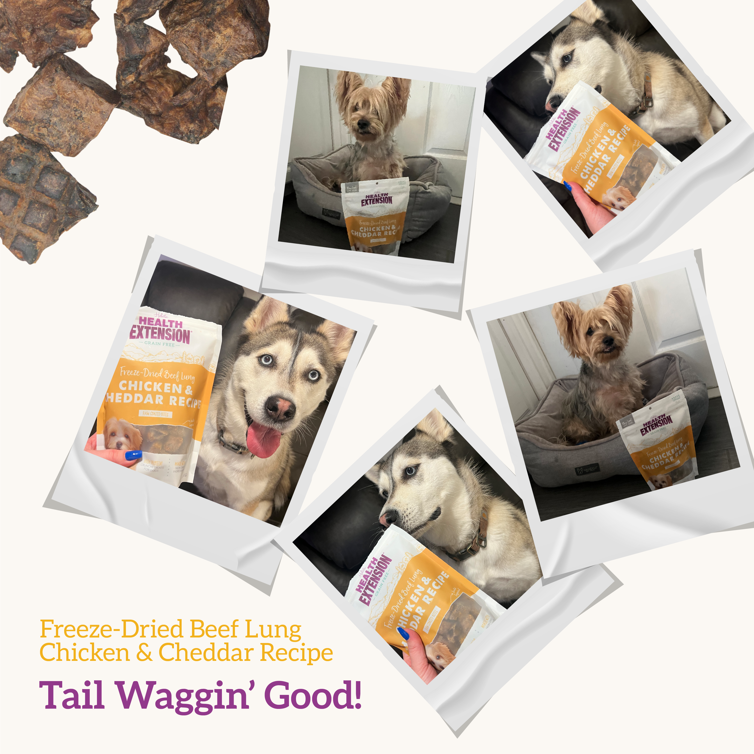 Health Extension Pet Care - Freeze Dried Chicken & Cheddar Bully Puffs: 5-ounces