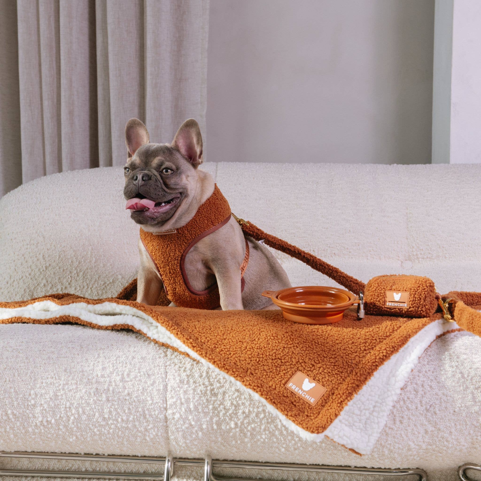 Frenchie - Frenchie Duo Reversible Harness - Teddy Brown: XS