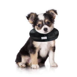 Comfurt Collar - Black - Pet Recovery Collar: XXL