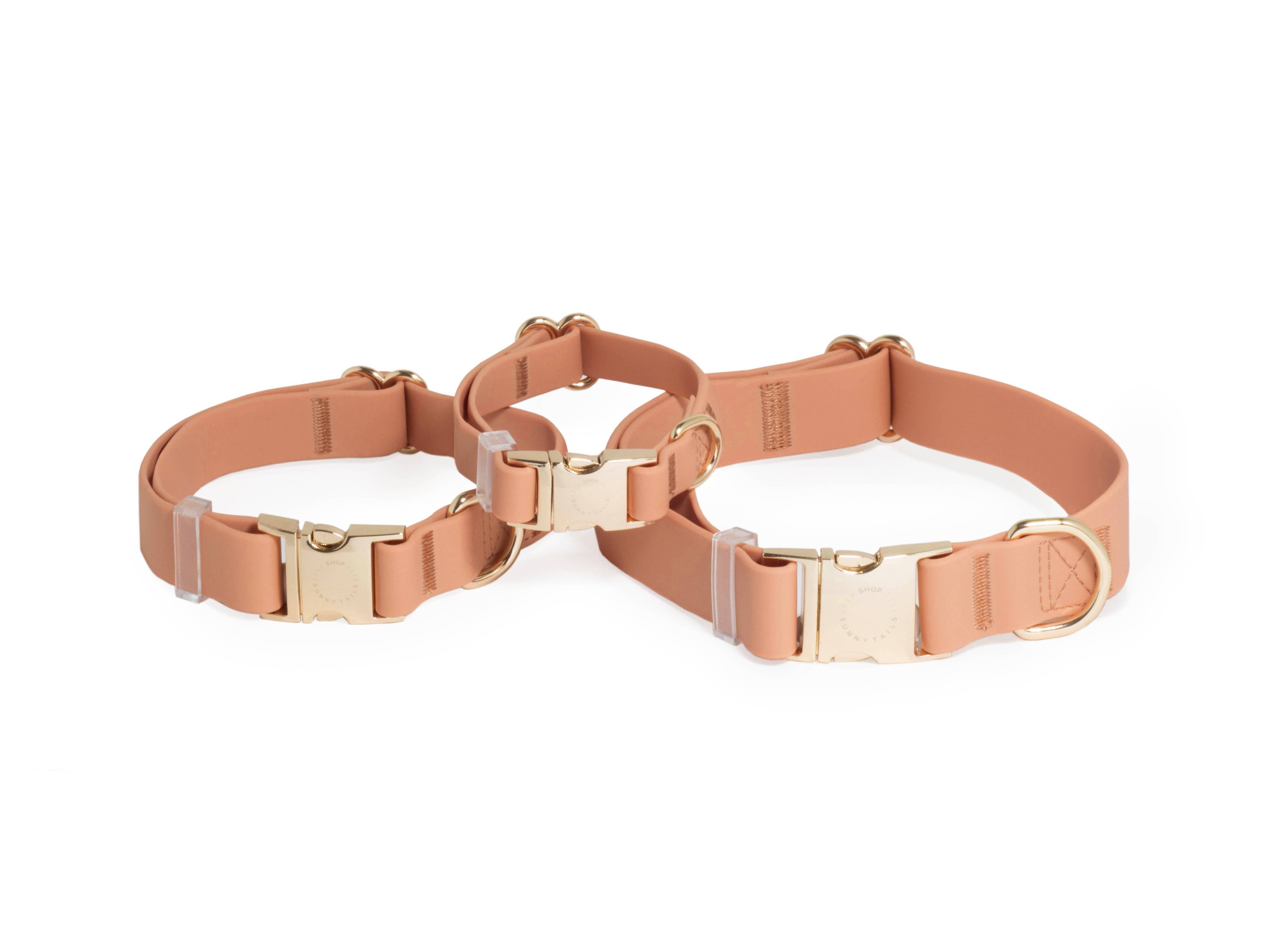 SUNNY TAILS - Chai Brown Waterproof Dog Collar: MEDIUM