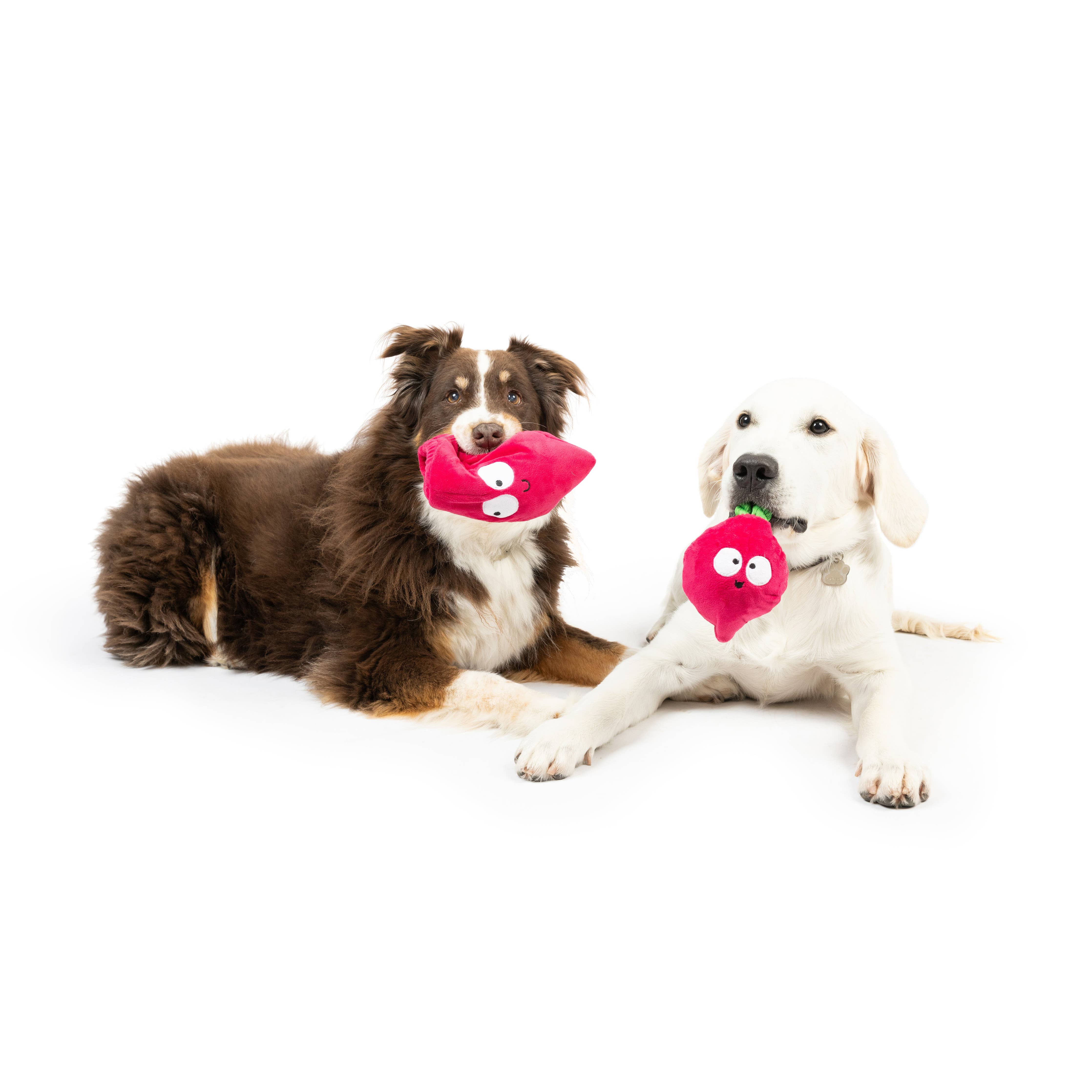 Huxley & Kent - Pop 'n Fetch Beet Dog Toy: Small