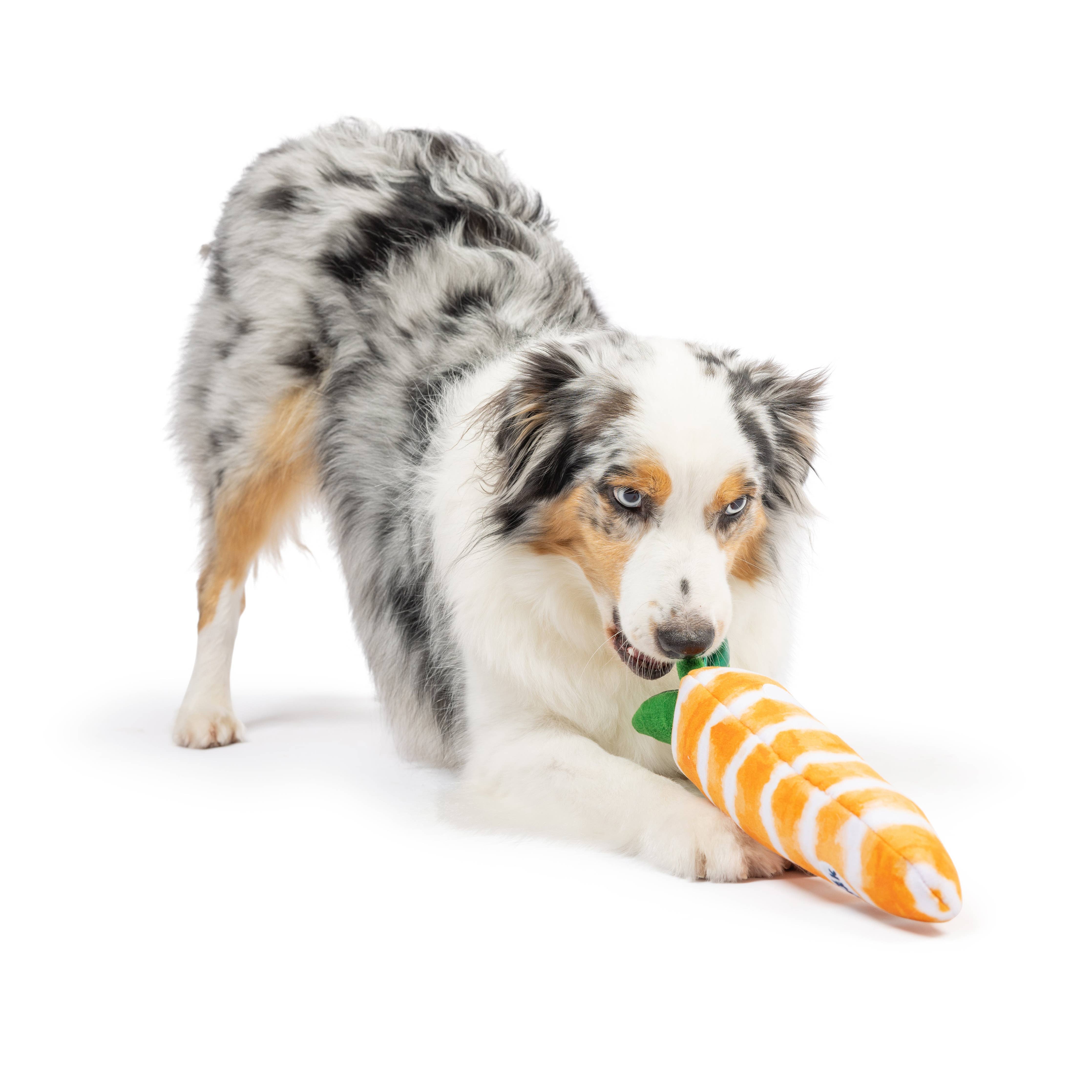 Huxley & Kent - Fetchies® Sweet Carrot Dog Toy: Large