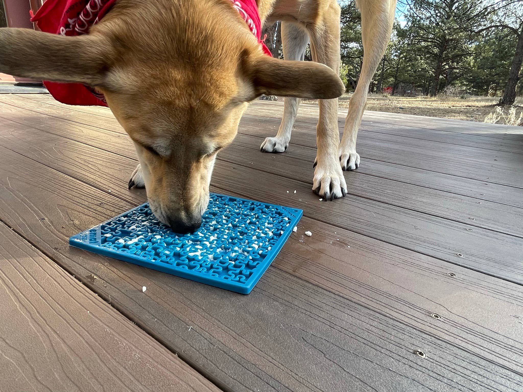 SodaPup Dog Toys - Jigsaw Design Emat Enrichment Licking Mat: Blue