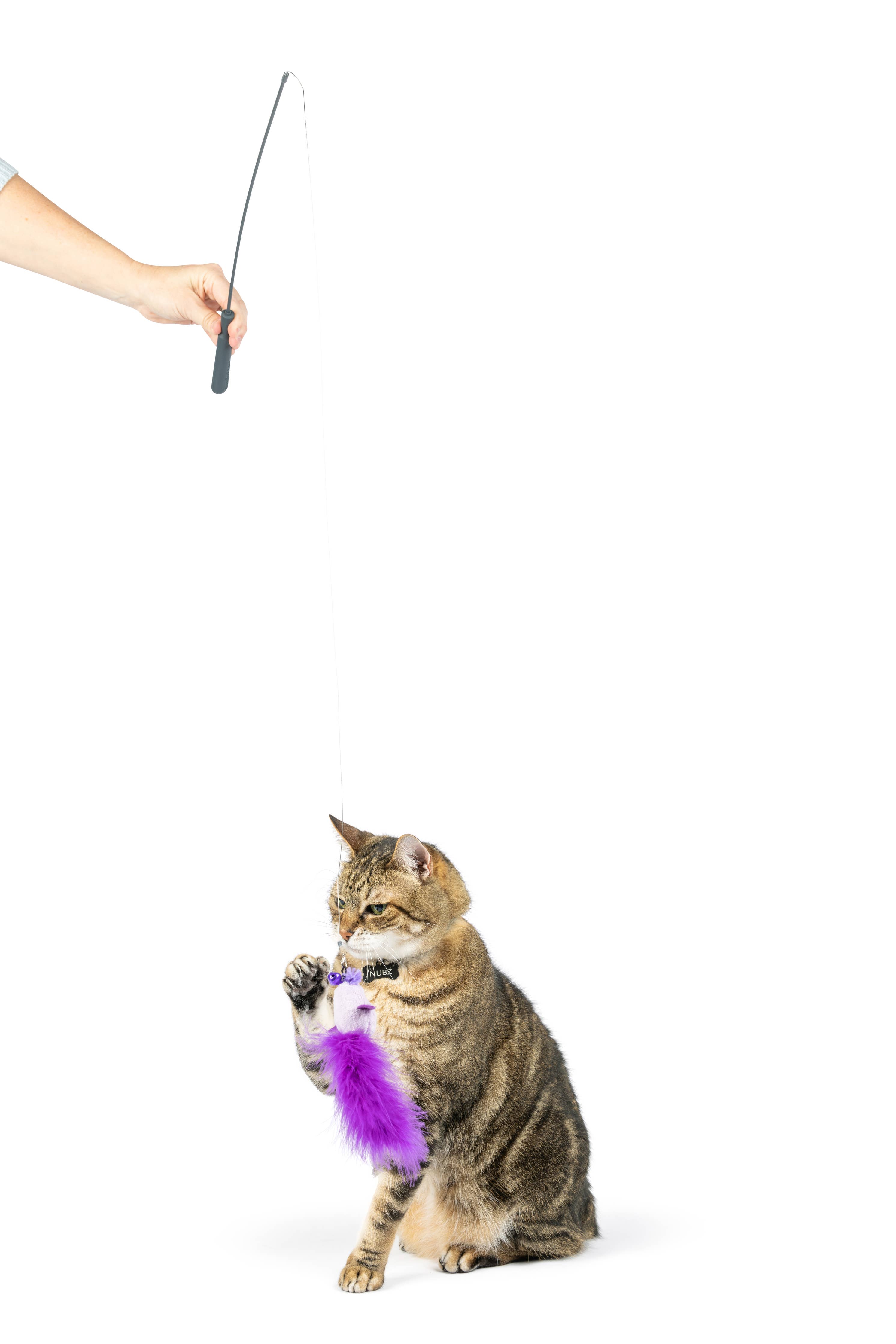 Huxley & Kent - Purple Birdy Feather Teasers 2pk Refill Cat Toy: One Size