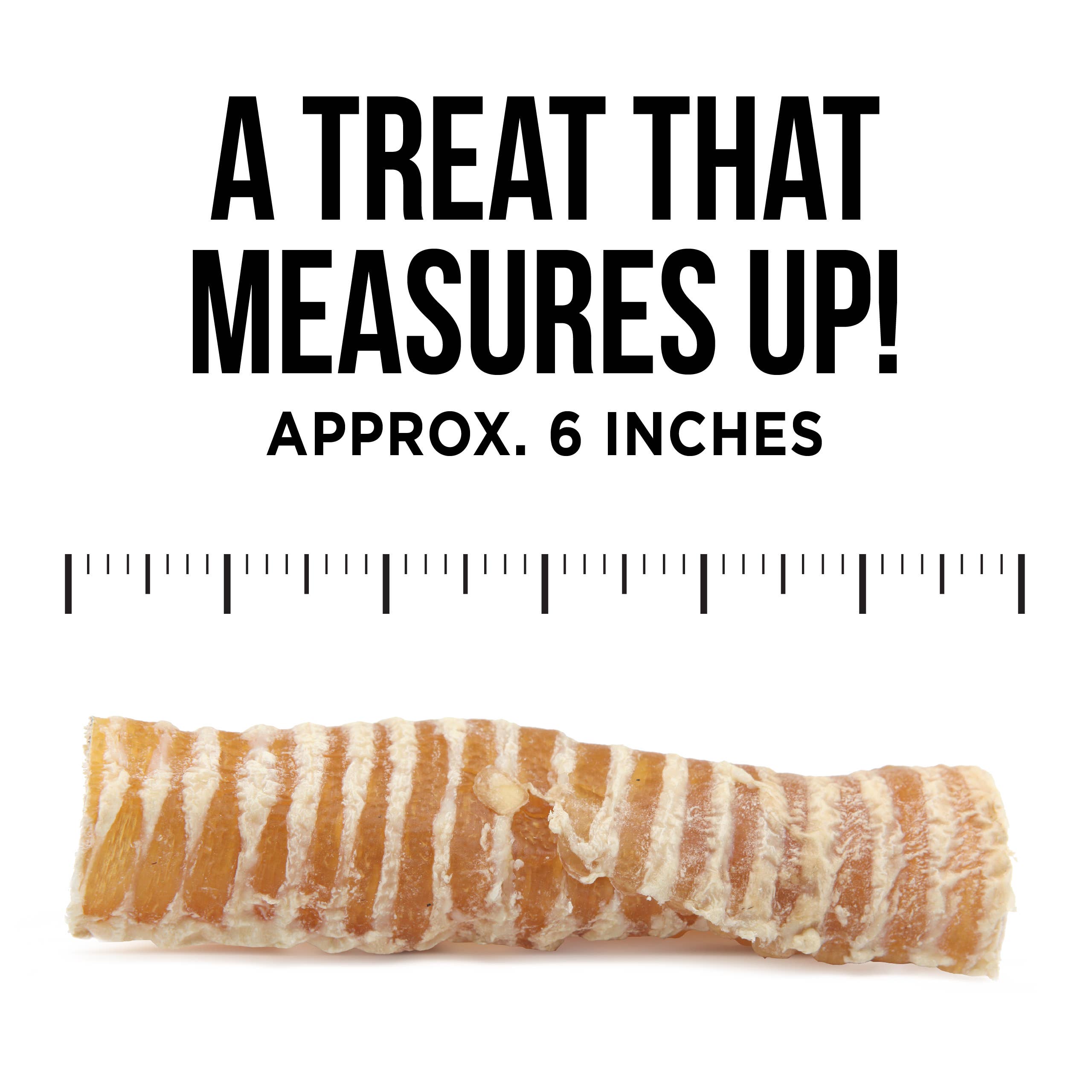 Natural Rapport - The Only Beef Trachea Chews Dogs Need