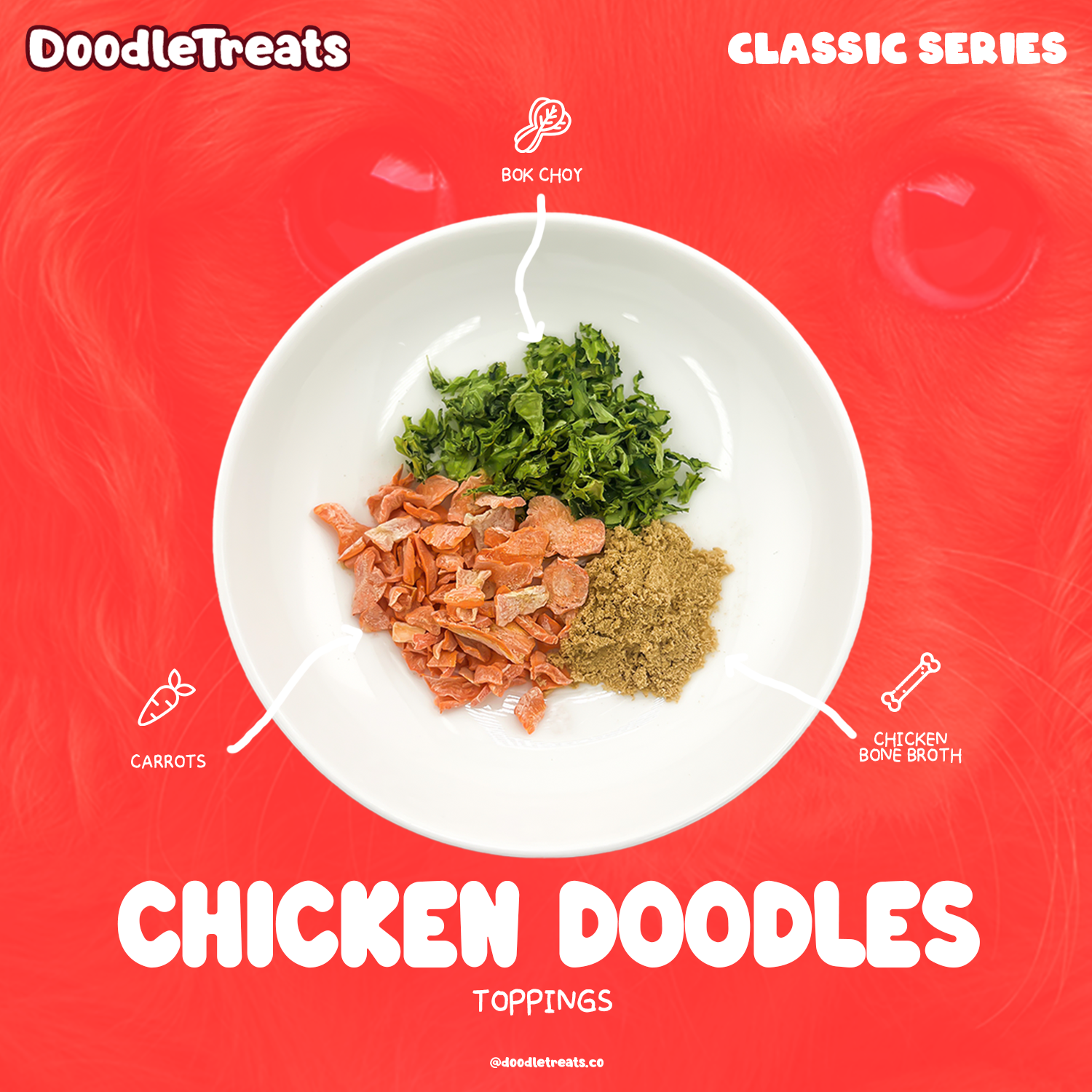 Doodle Treats - Chicken Cup Noodles for Dogs and Cats