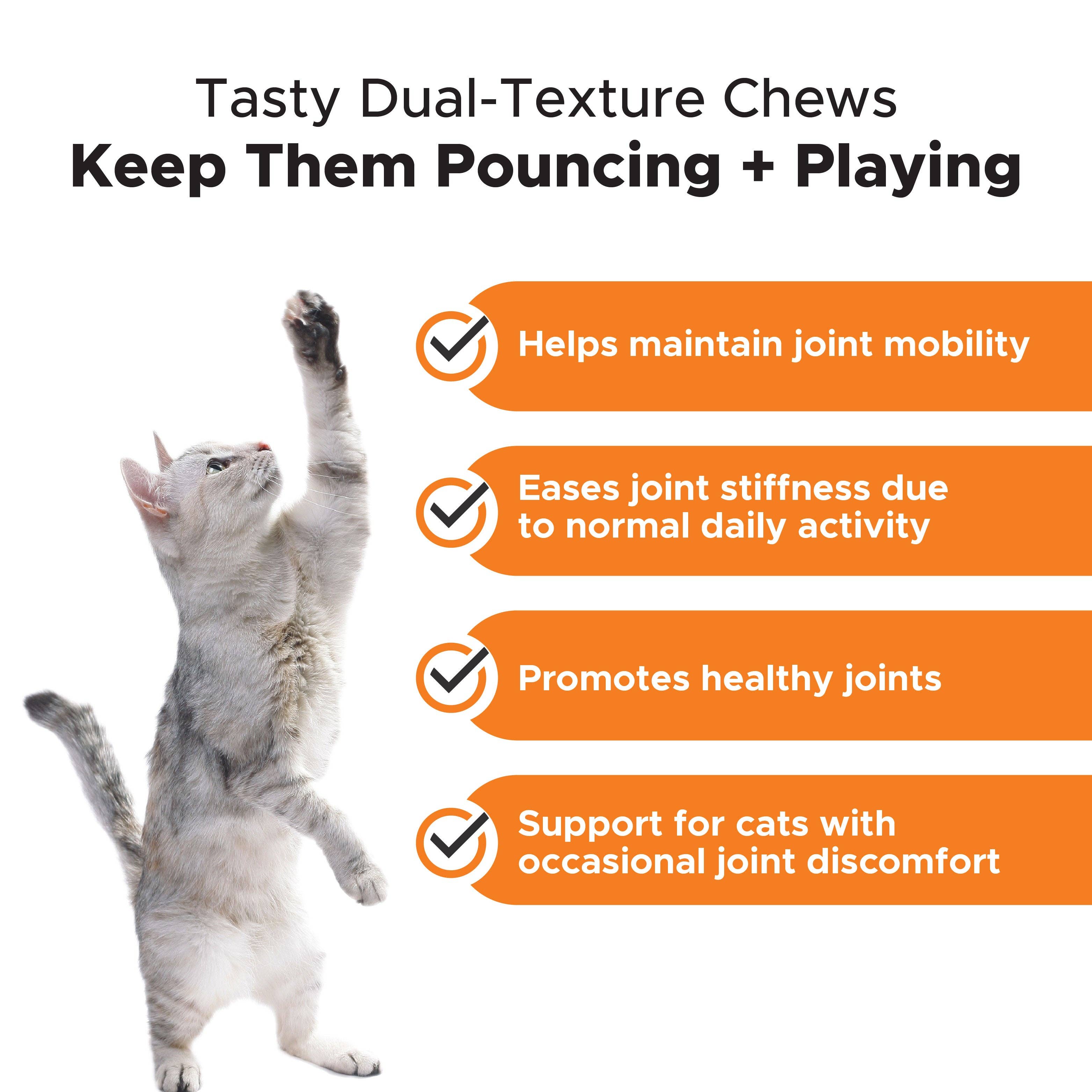 Pet Honesty - Dual Texture Hip & Joint Supplement for Cats (Chicken Flavor