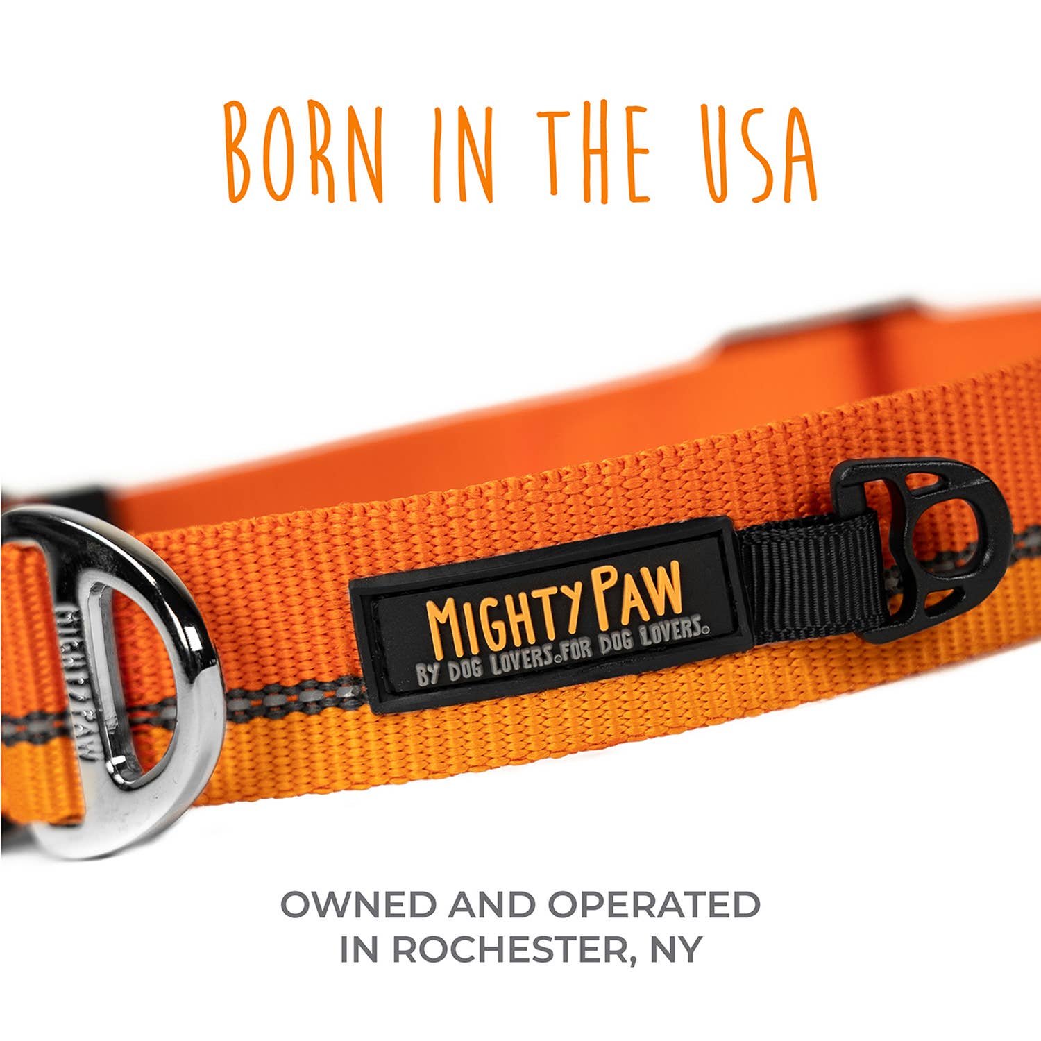 Mighty Paw - Standard Reflective Colorblast Dog Collar: Green / Large