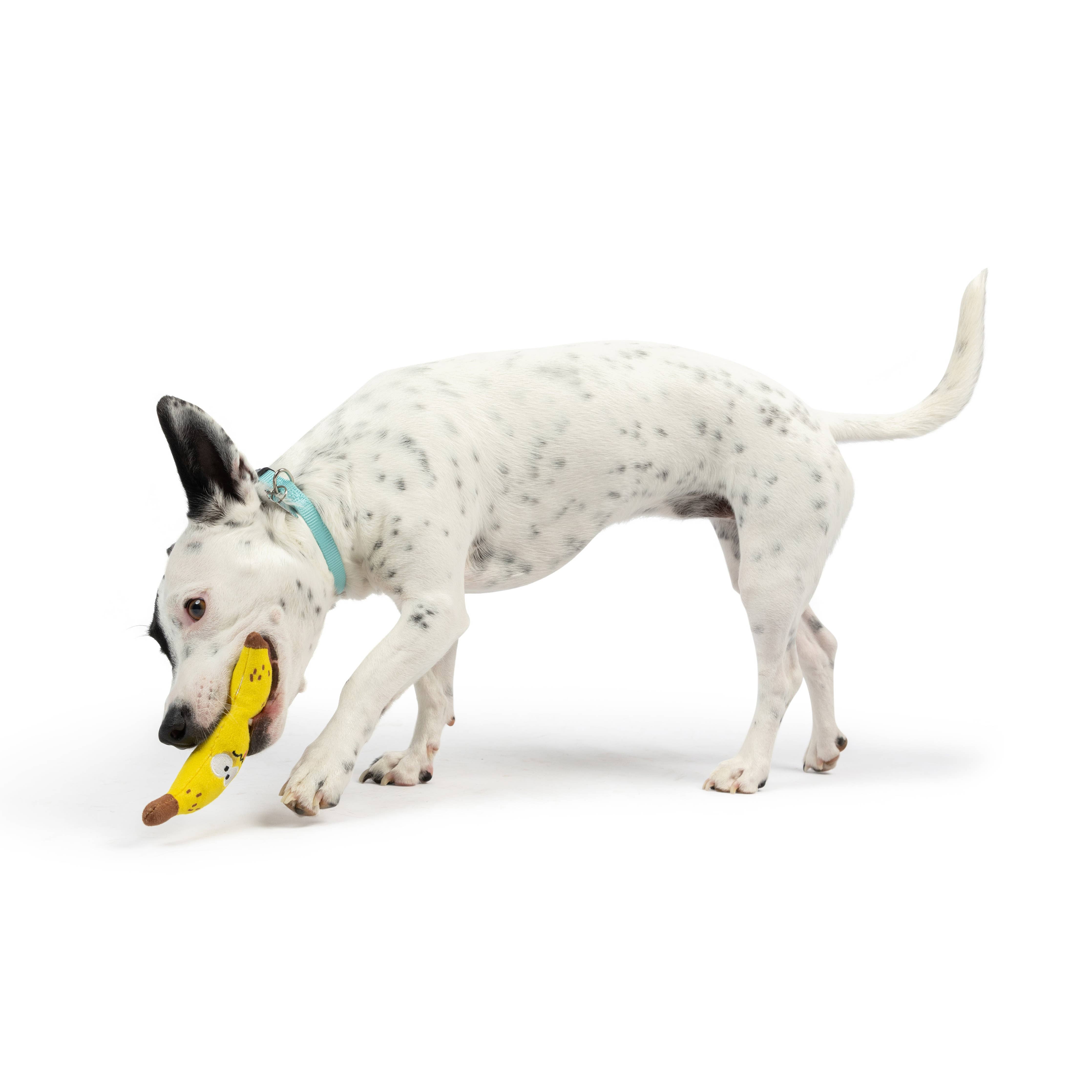 Huxley & Kent - Tiny Tuff Bruiser Banana: One Size