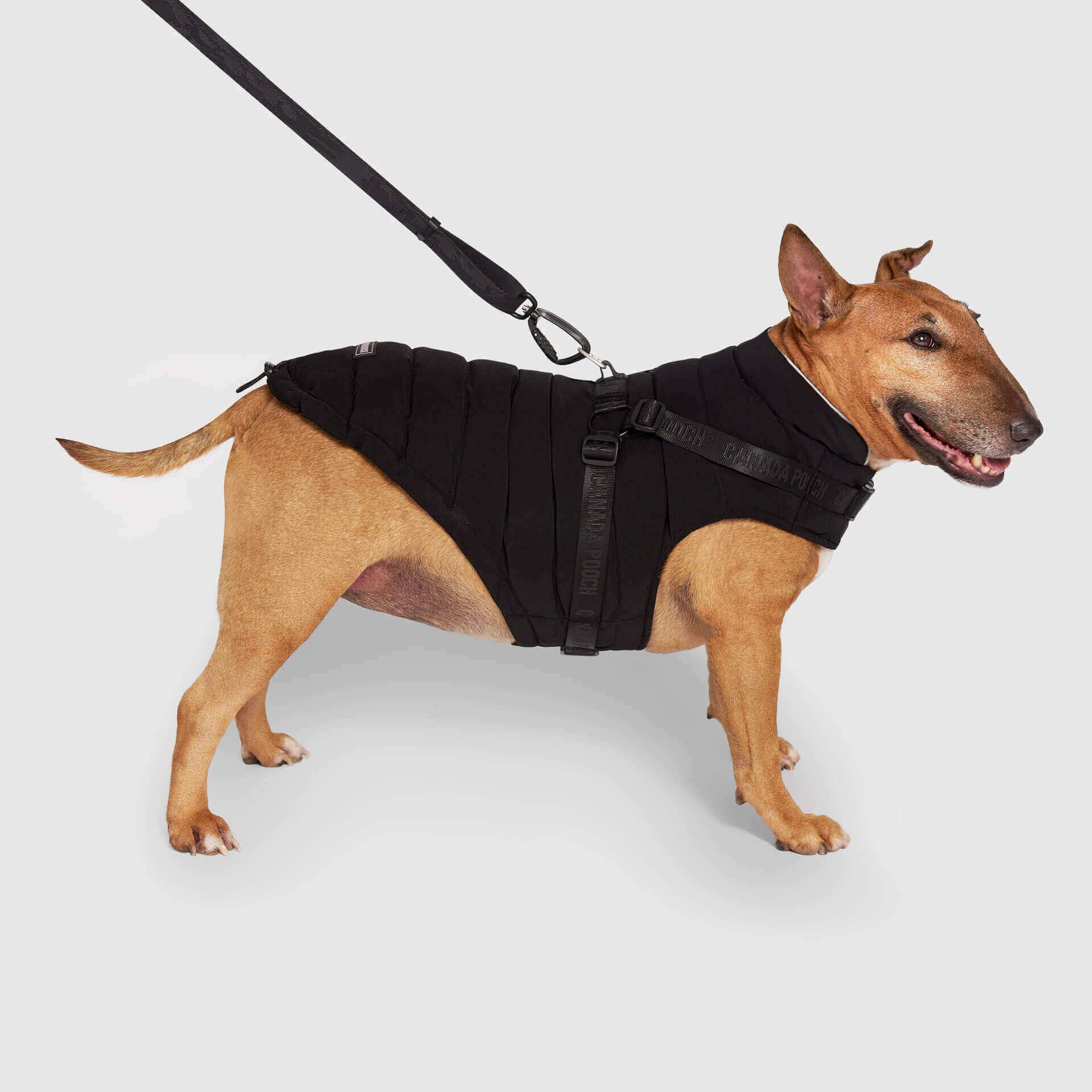 Canada Pooch - Harness Puffer- Dog Coat: Black / 8
