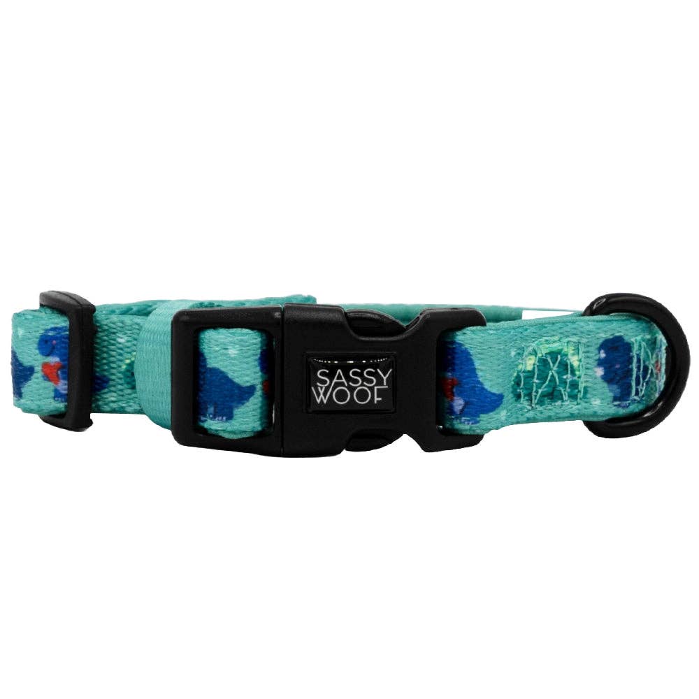 SASSY WOOF - Dog Collar - Dino Darling: Medium