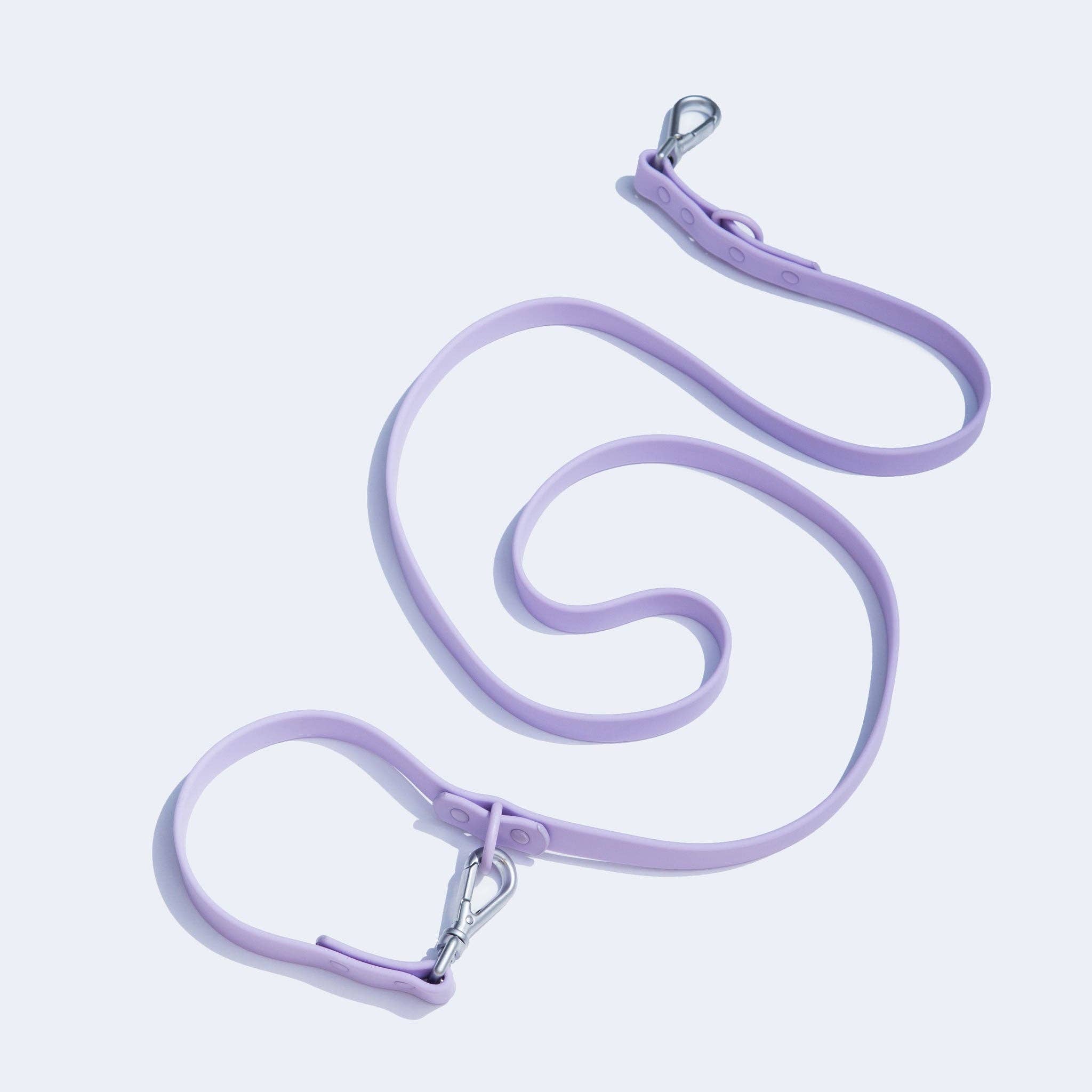 dogged - Dogged basics leash - lavender: Standard