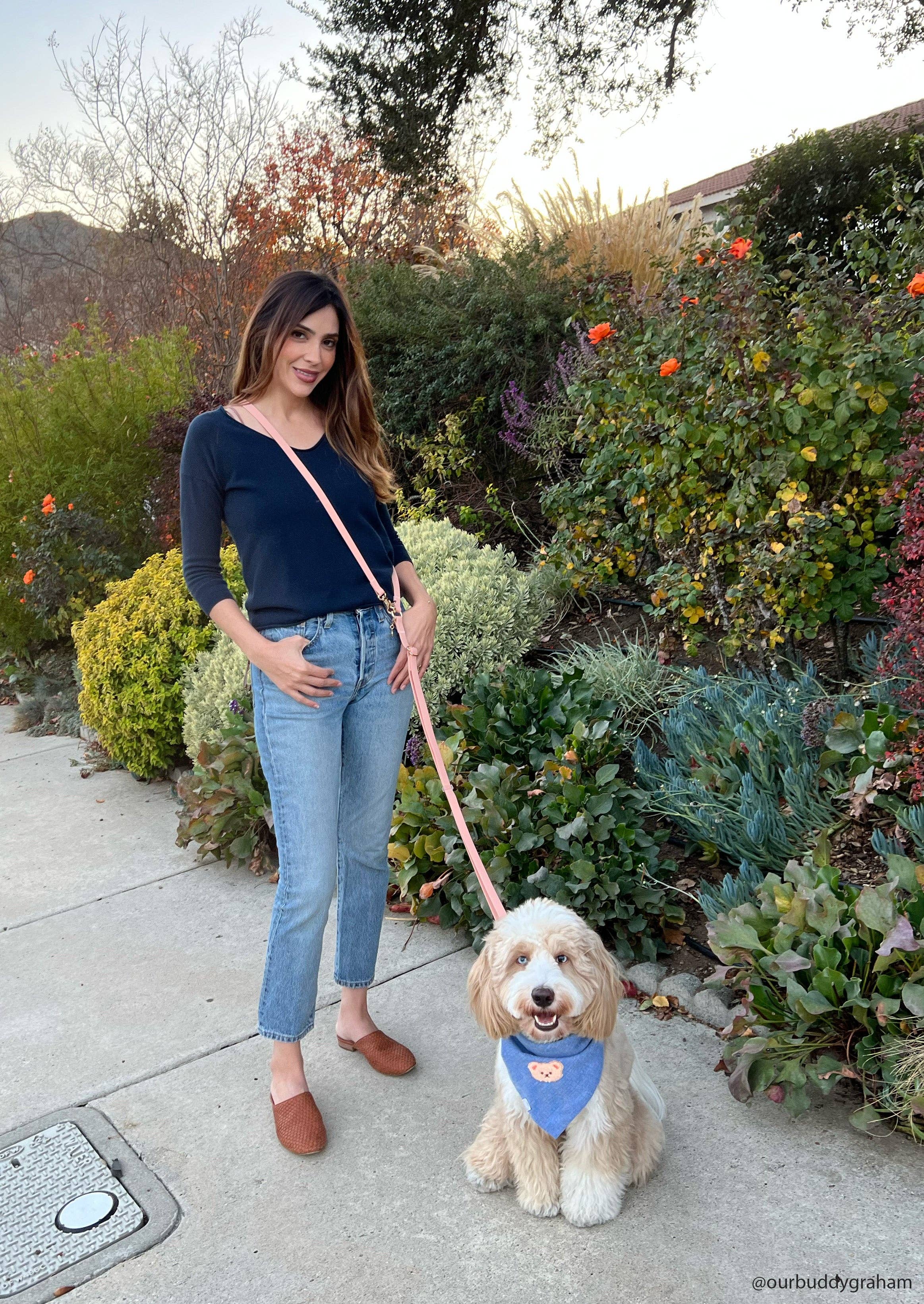 SUNNY TAILS - Chai Brown 4-in-1 Convertible Hands Free Cloud Dog Leash: Standard