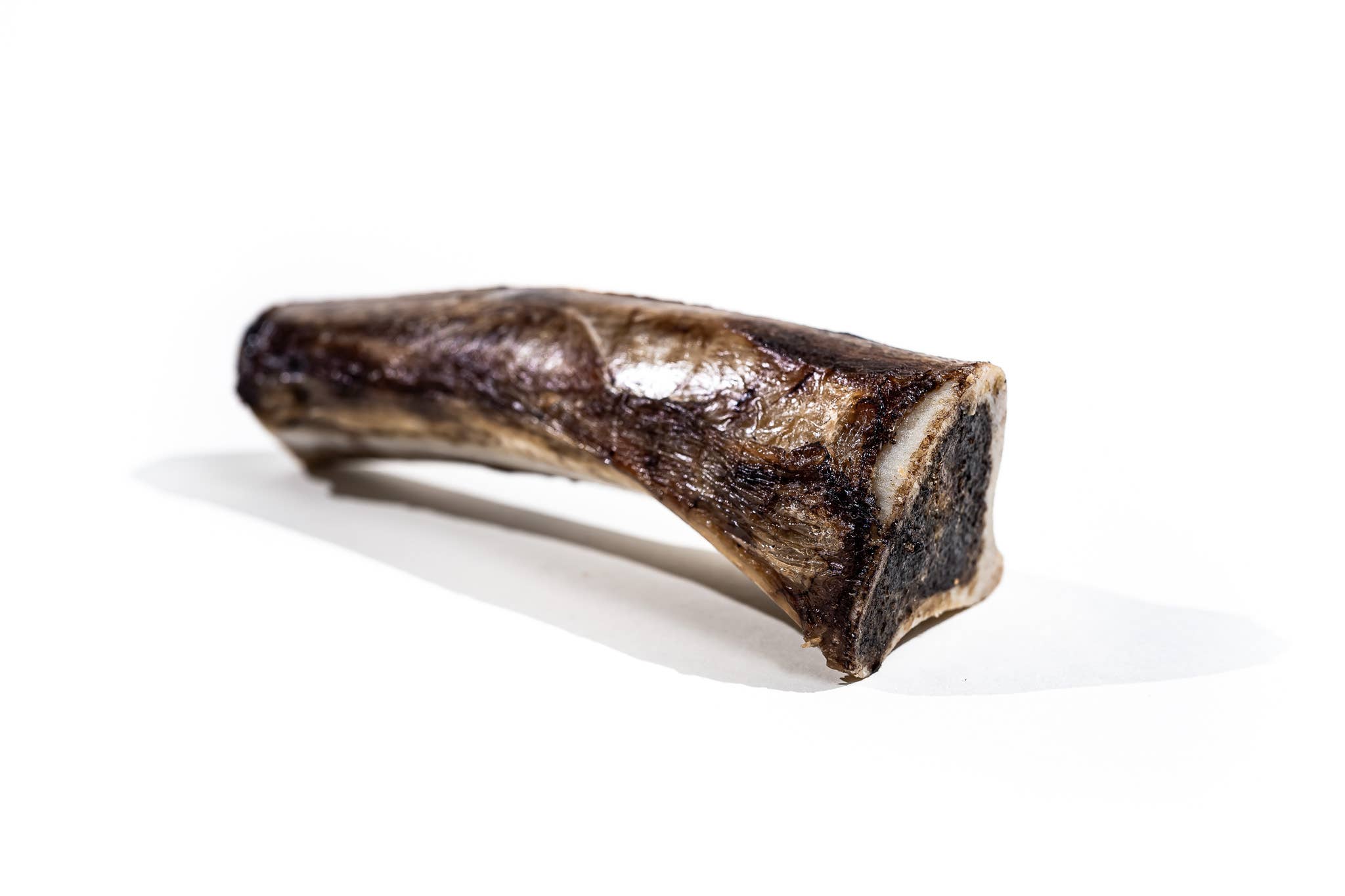 Winnie Lou - The Canine Co. - Bison Marrow Bone - 6-8"