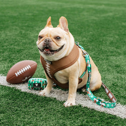 Frenchie - Frenchie Duo Reversible Harness - Touchdown: Medium