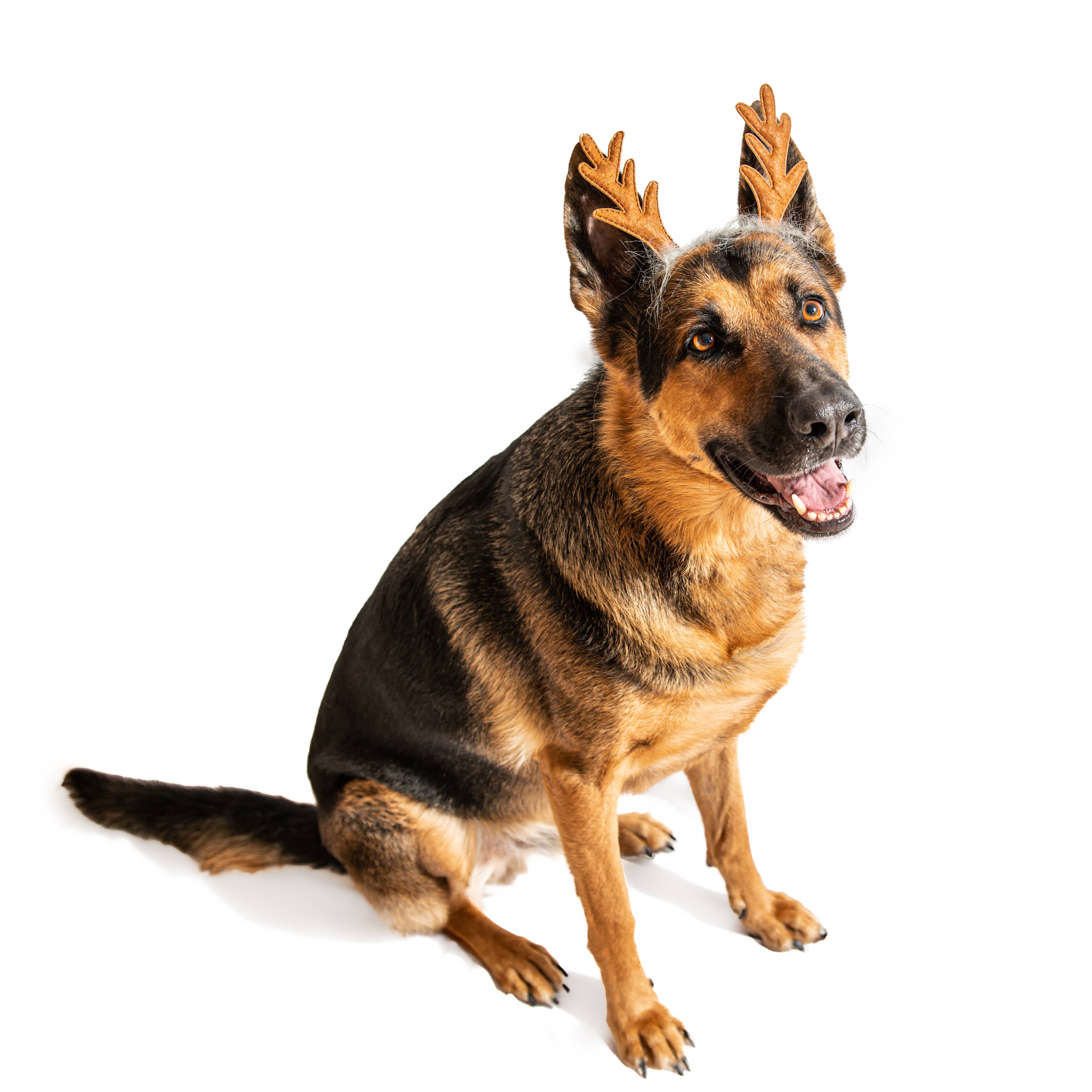 Midlee Designs - Midlee Furry Antlers Headband Halloween Dog Costume