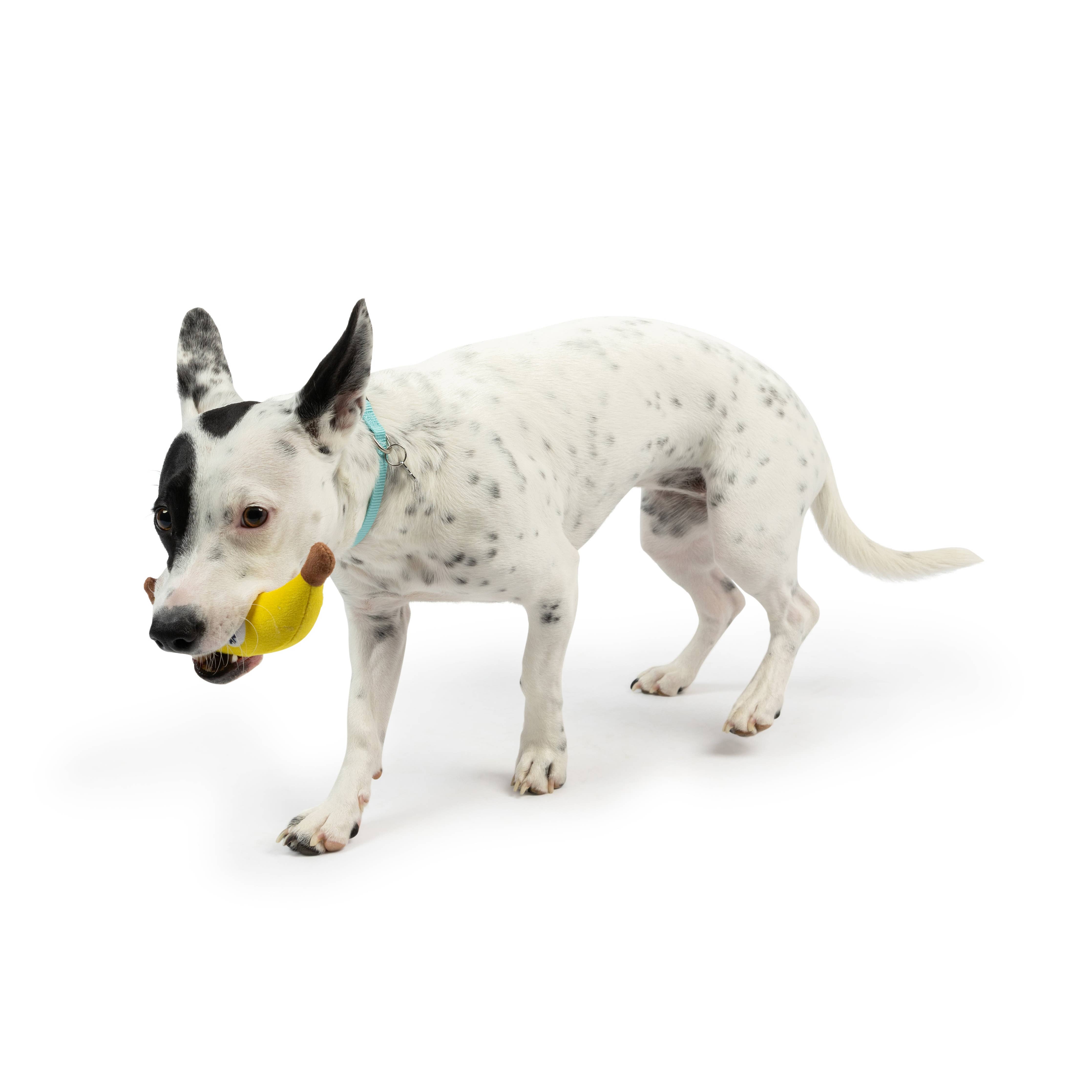 Huxley & Kent - Tiny Tuff Bruiser Banana: One Size