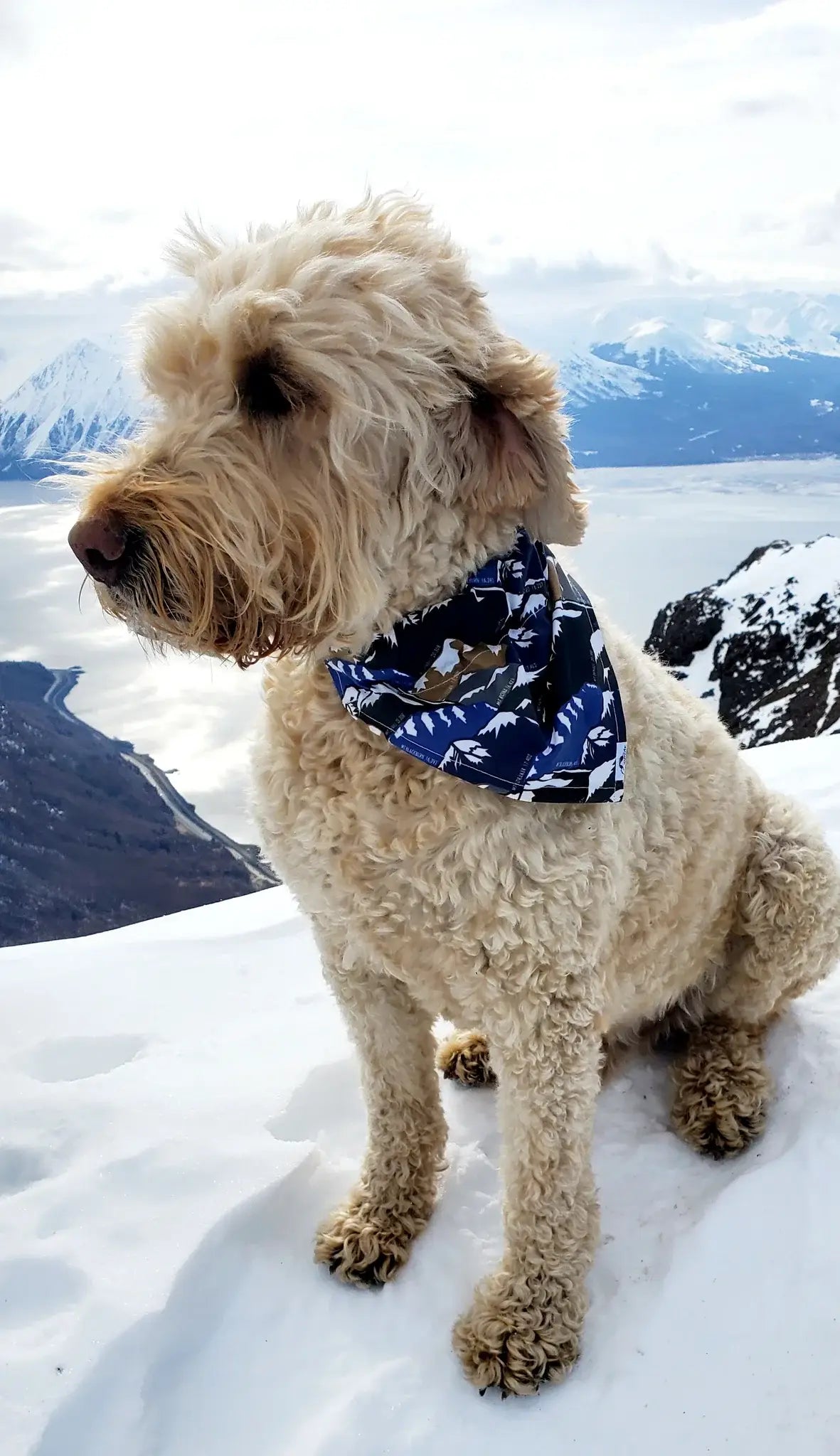 HappyAK - Tallest Peaks Dog | Cat Bandana: X Small
