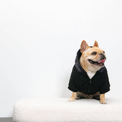 Frenchie - Frenchie Dog Hoodie - Black Plaid: L