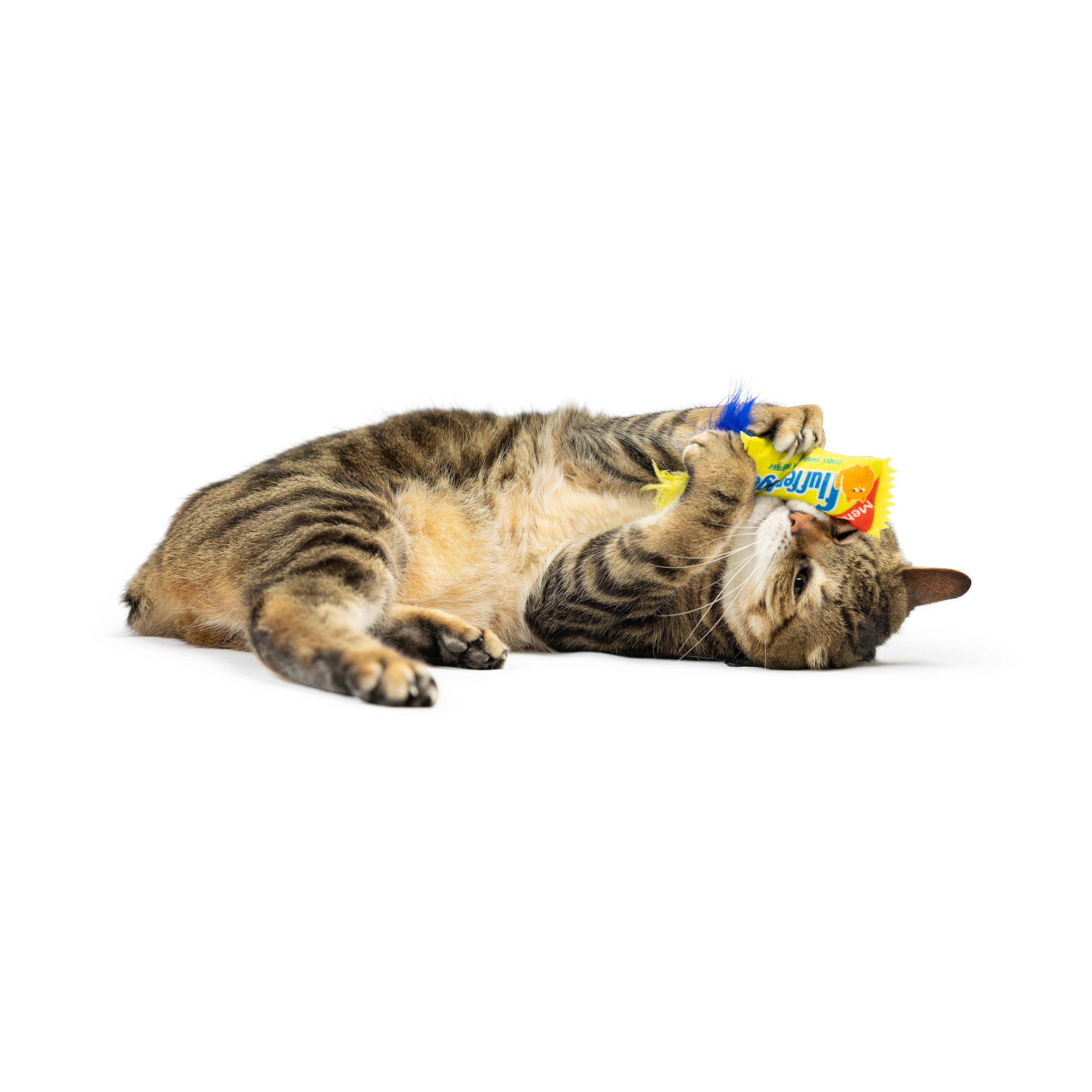 Huxley & Kent - Flufferfinger Cat Toy: One Size