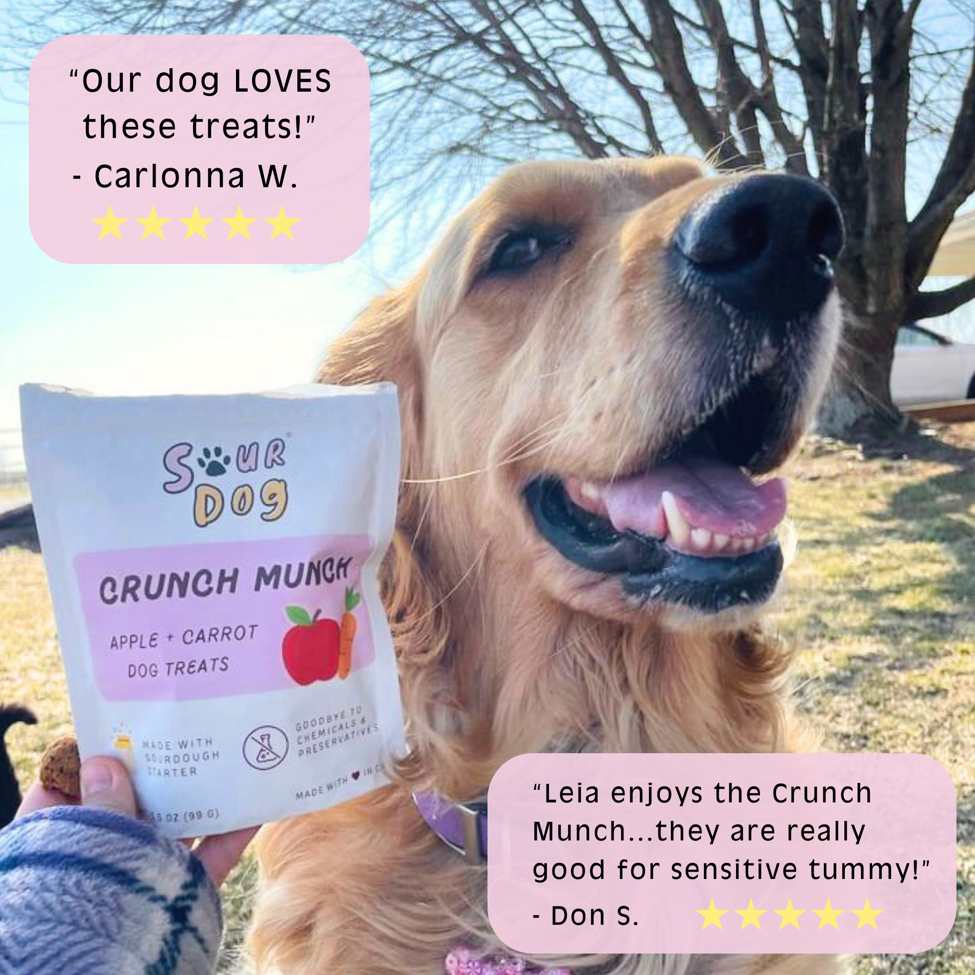 SourDog - Crunch Munch - Apple & Carrot Sourdough Dog Treats