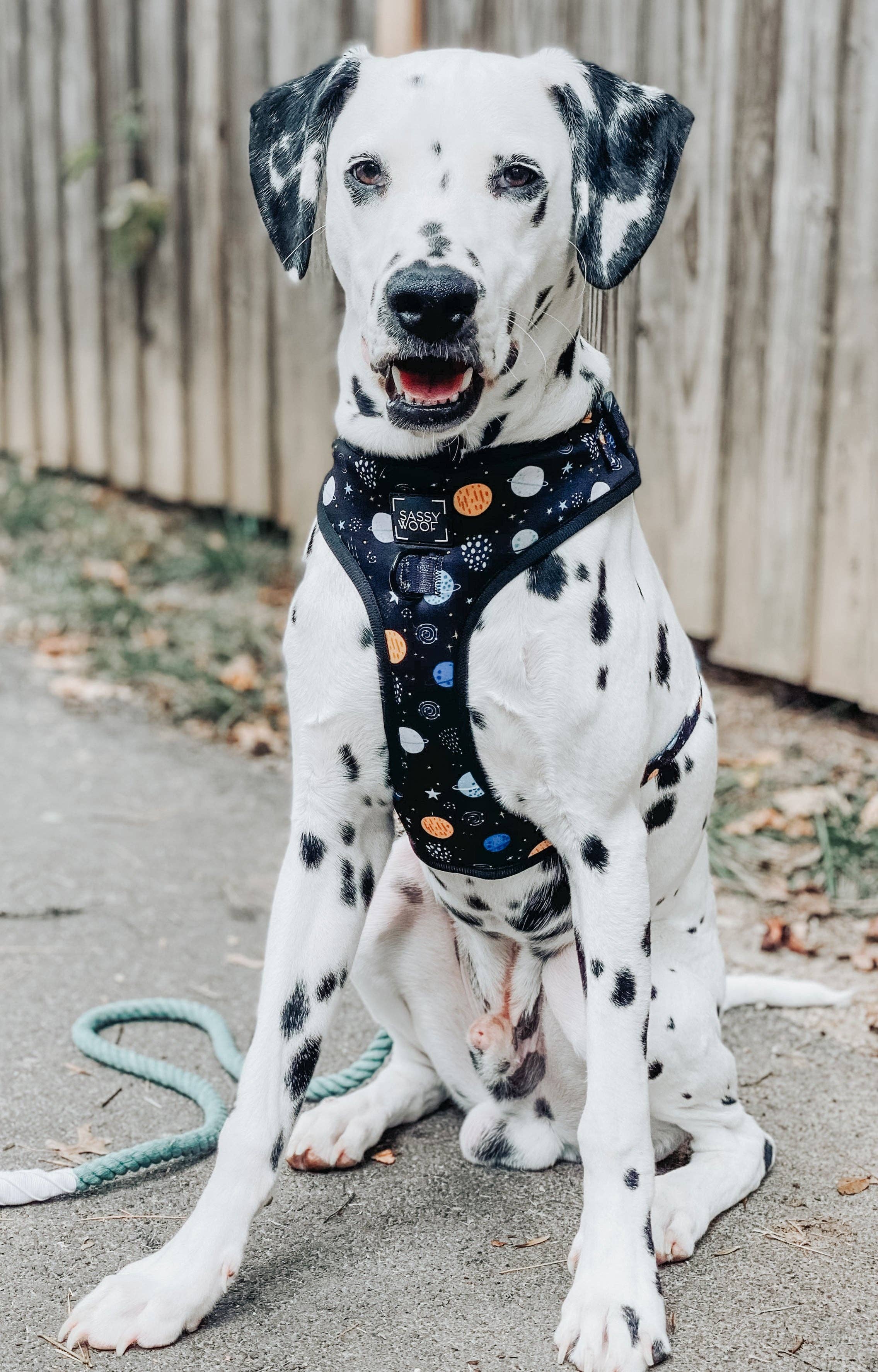SASSY WOOF - Dog Adjustable Harness - To the Stars and Beyond: Large