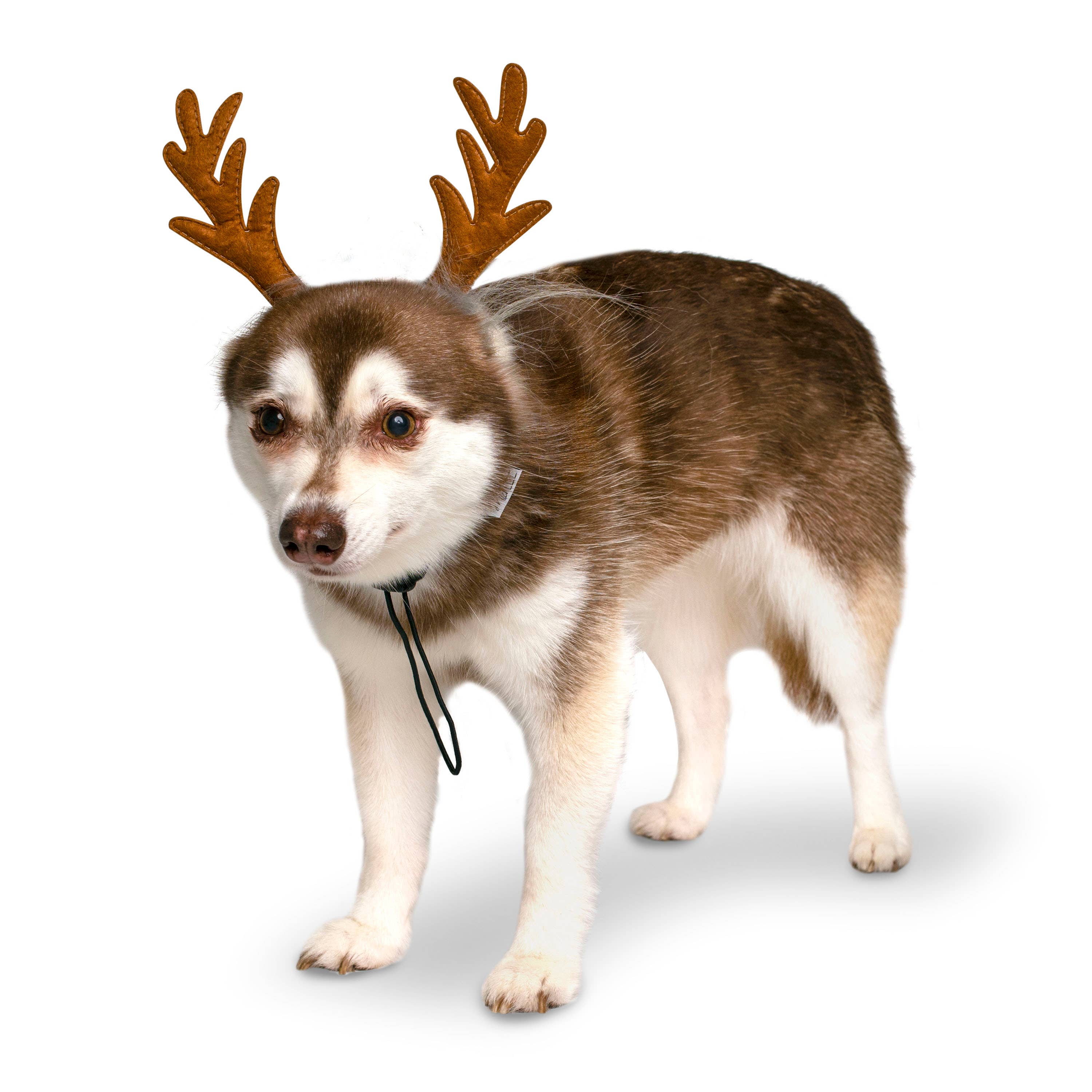 Midlee Designs - Midlee Furry Antlers Headband Halloween Dog Costume