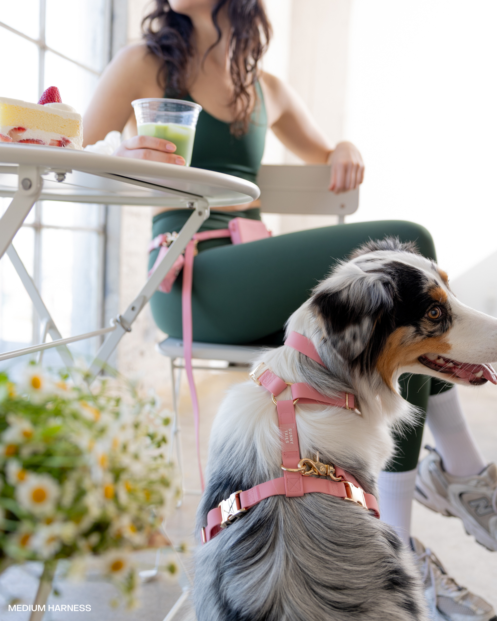 SUNNY TAILS - Perfect Pink 4-in-1 Convertible Hands Free Cloud Dog Leash: Standard