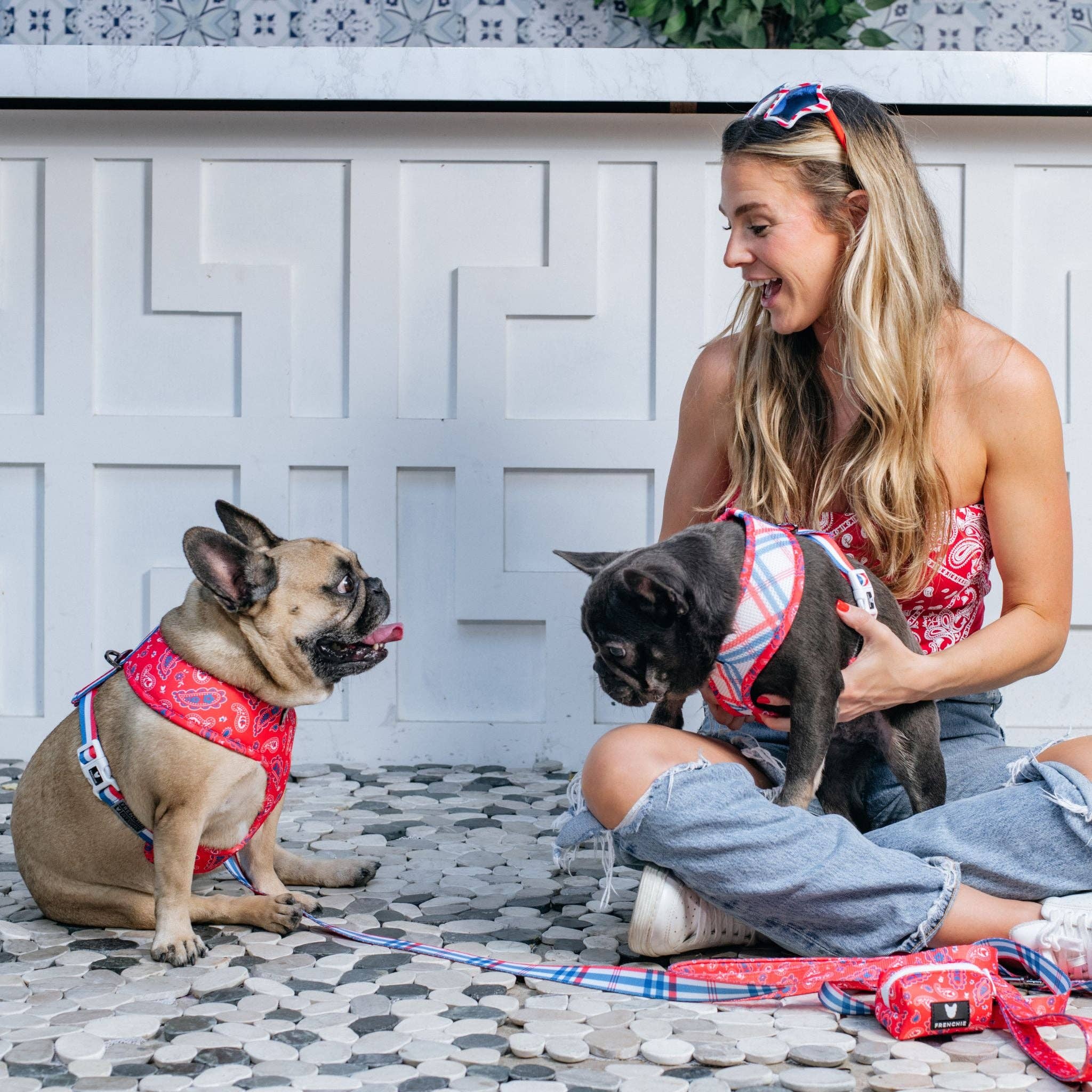 Frenchie - Frenchie Duo Reversible Harness - Red, White, and Paisley: M