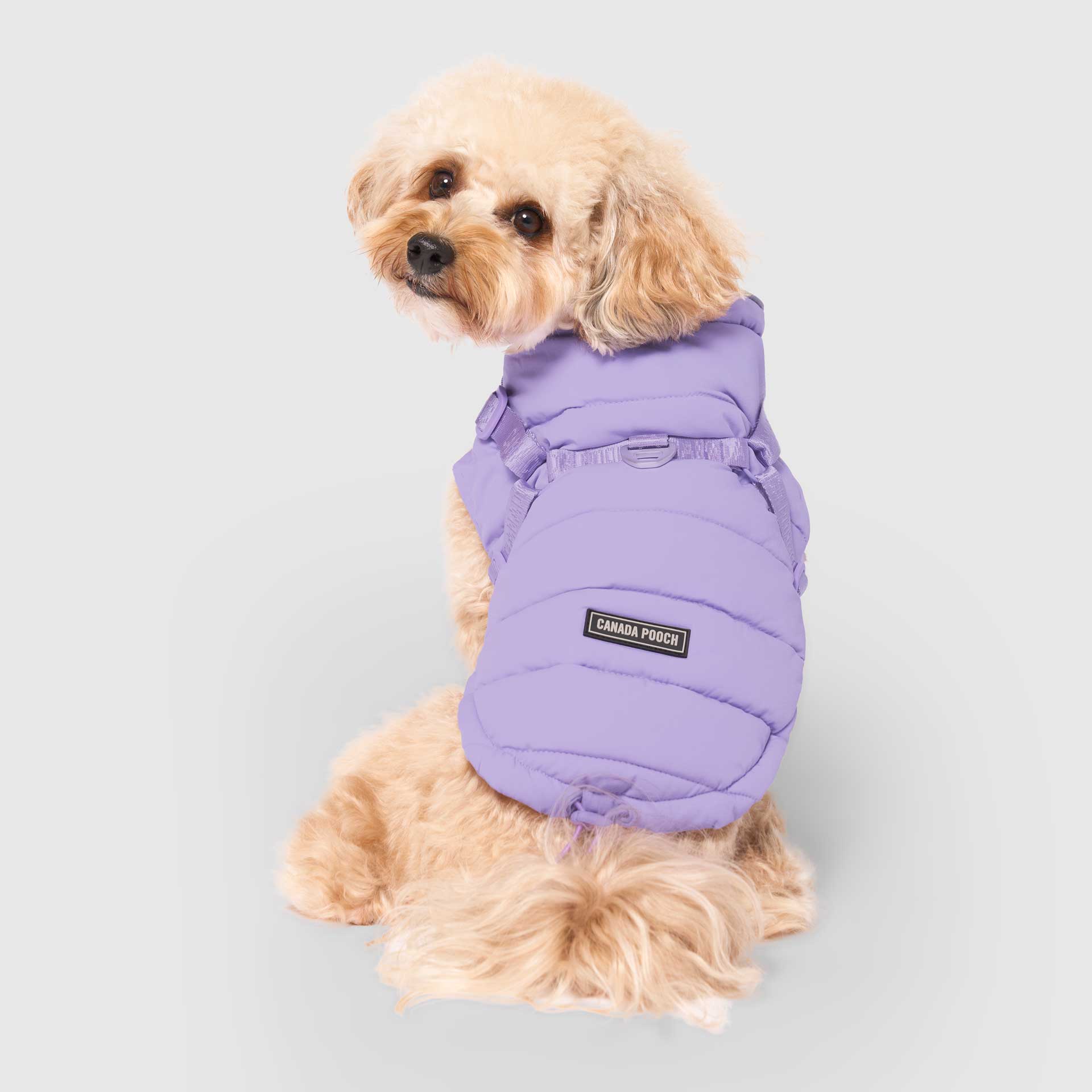 Canada Pooch - Harness Puffer- Dog Coat: Forest Green / 10