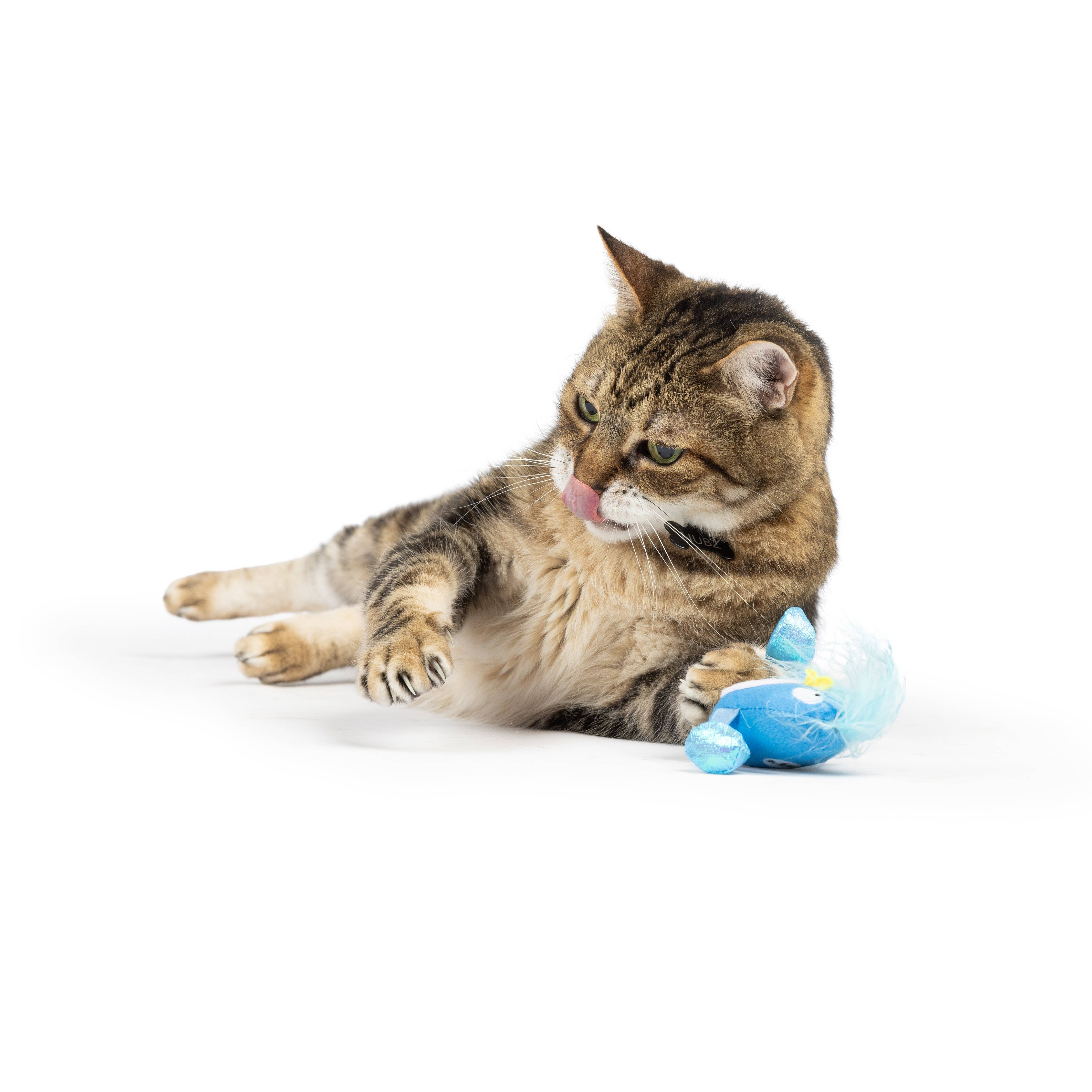 Huxley & Kent - Bluebird Chirpy Cat Toy: One Size