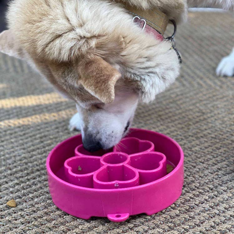 SodaPup Dog Toys - Flower Design eBowl Enrichment Slow Feeder Bowl for Dogs: Flower Bowl - Purple