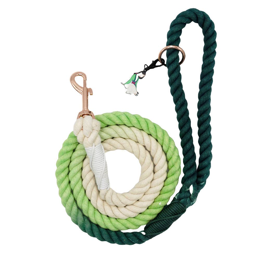 SASSY WOOF - Dog Rope Leash - Disney's Mulan