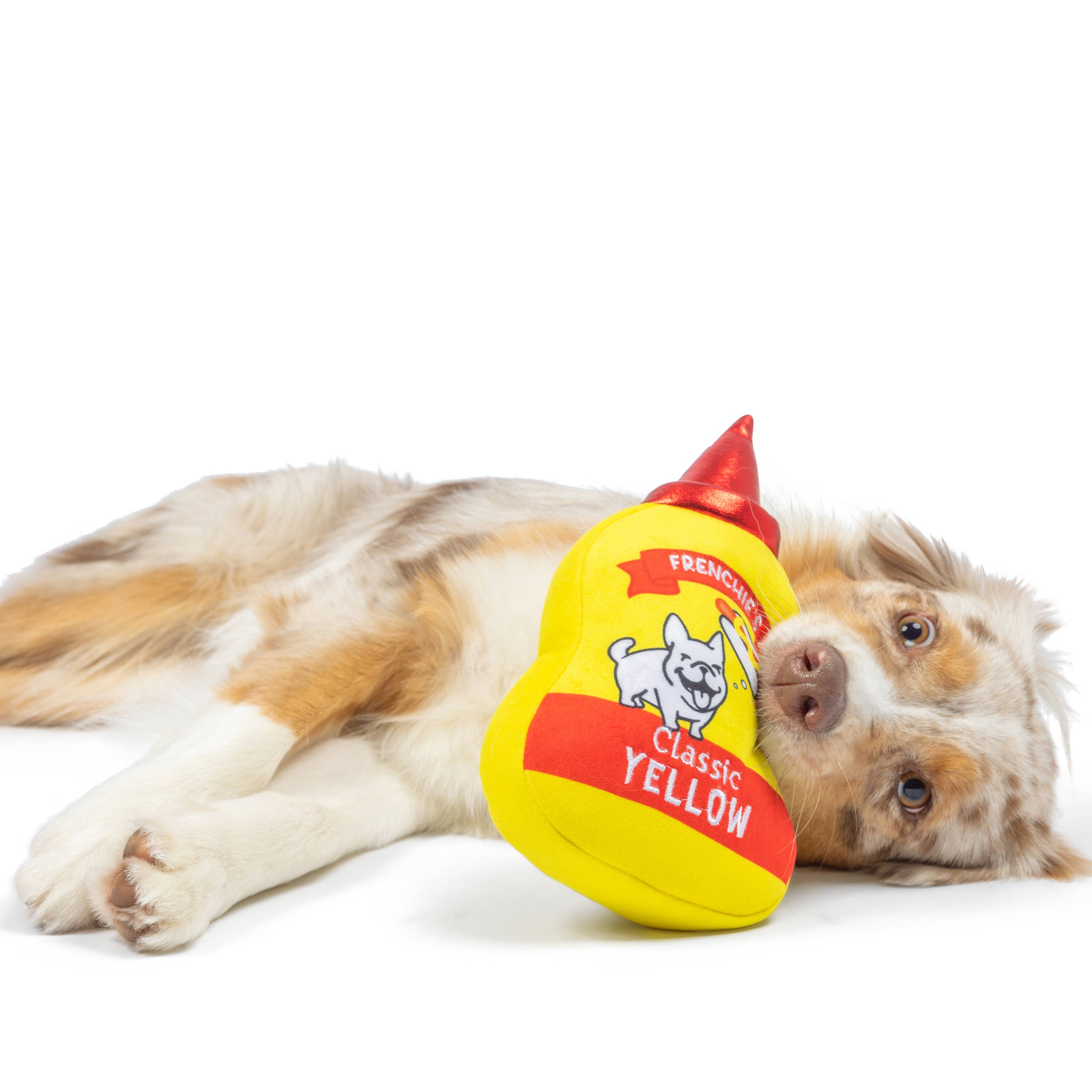 Huxley & Kent - Frenchie's Muttstard (Double Sided) For Dogs: Large