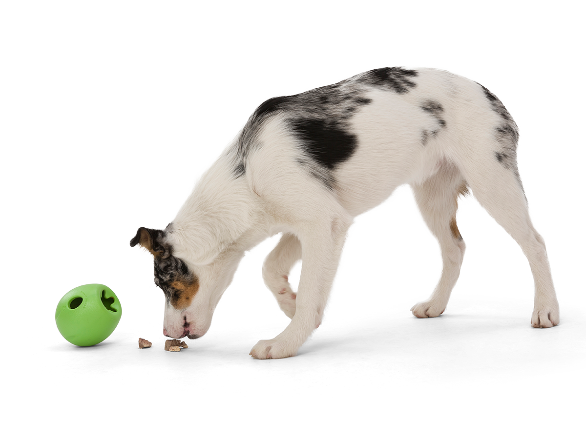 West Paw - Rumbl® Puzzle Treat-Dispensing Enrichment Dog Toy: L / Melon