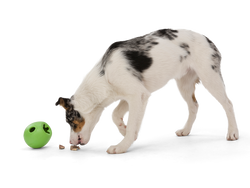 West Paw - Rumbl® Puzzle Treat-Dispensing Enrichment Dog Toy: S / Melon