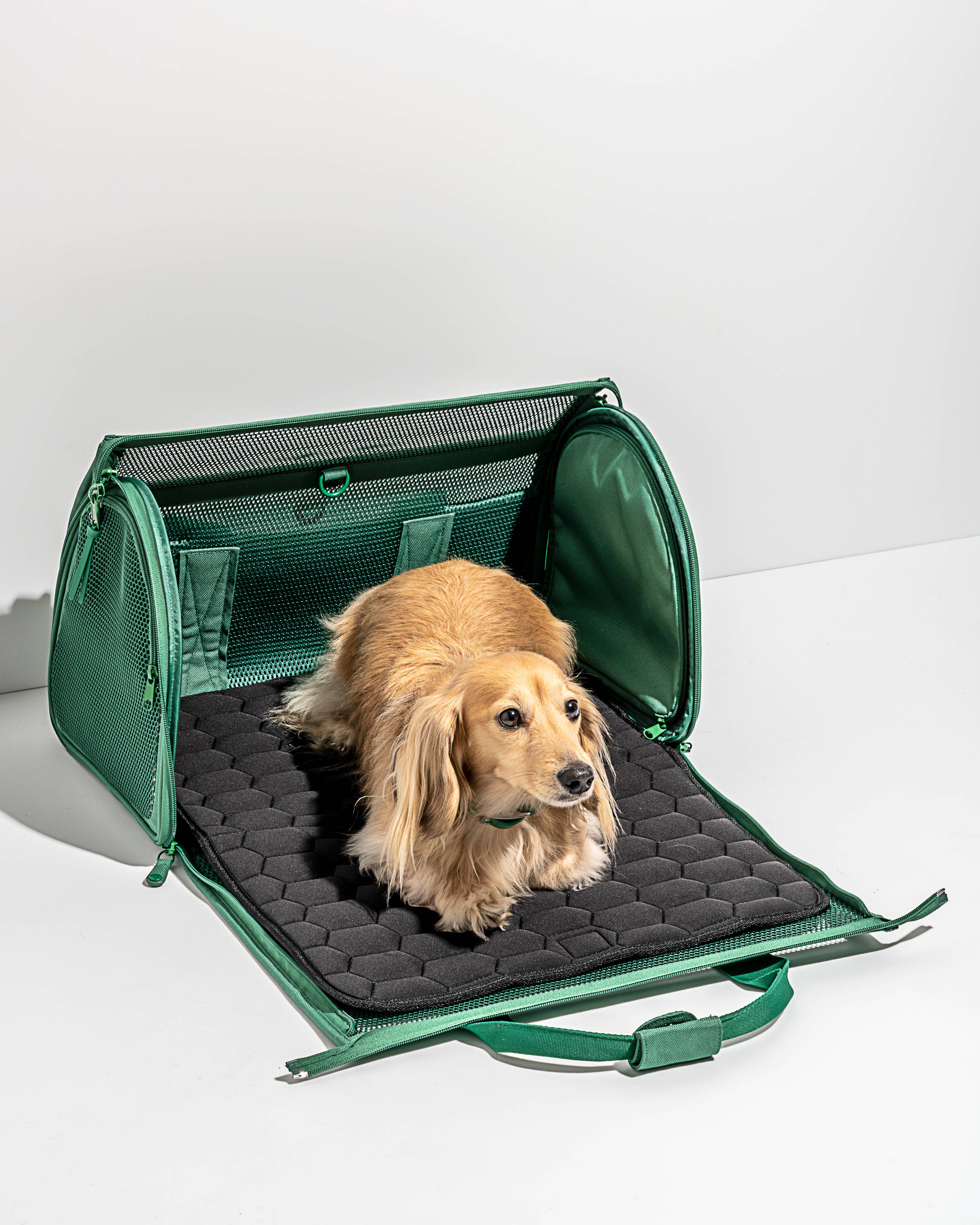 Wild One - Travel TSA Compliant Pet Dog Carrier: Black