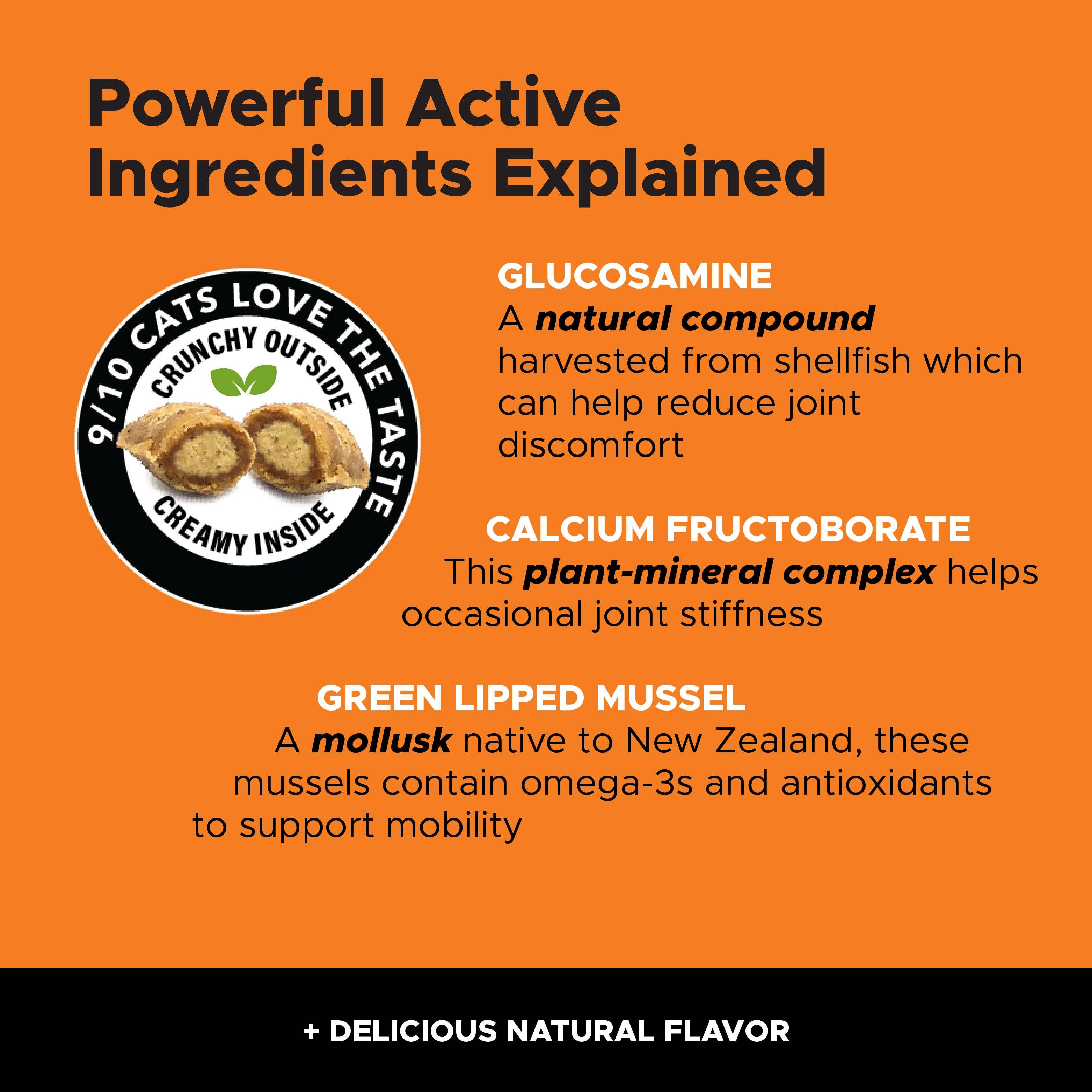 Pet Honesty - Dual Texture Hip & Joint Supplement for Cats (Chicken Flavor