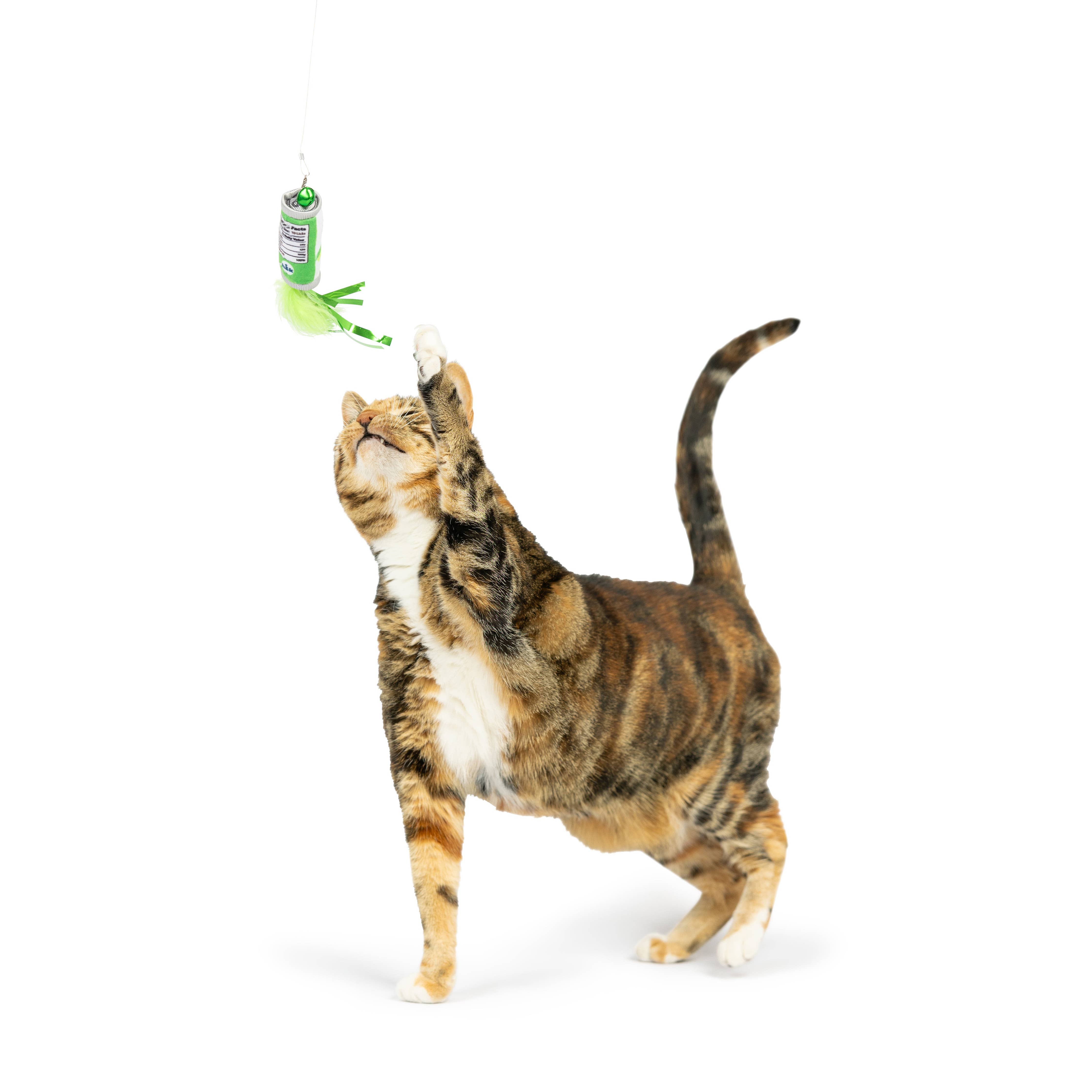 Huxley & Kent - Kitty Klaw Lime Teasers 2pk Cat Wand Refill: One Size