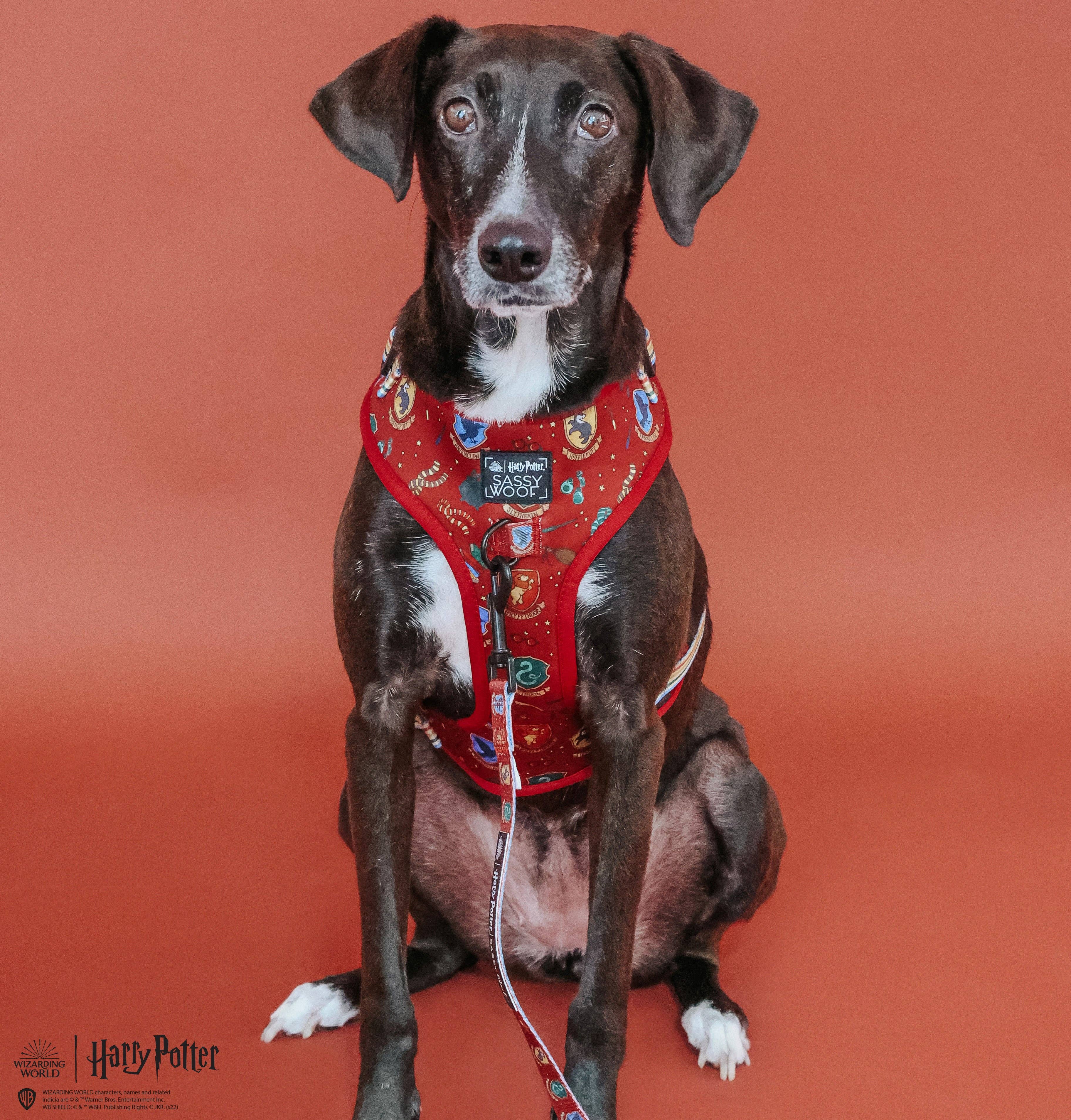 SASSY WOOF - Dog Leash - Harry Potter™