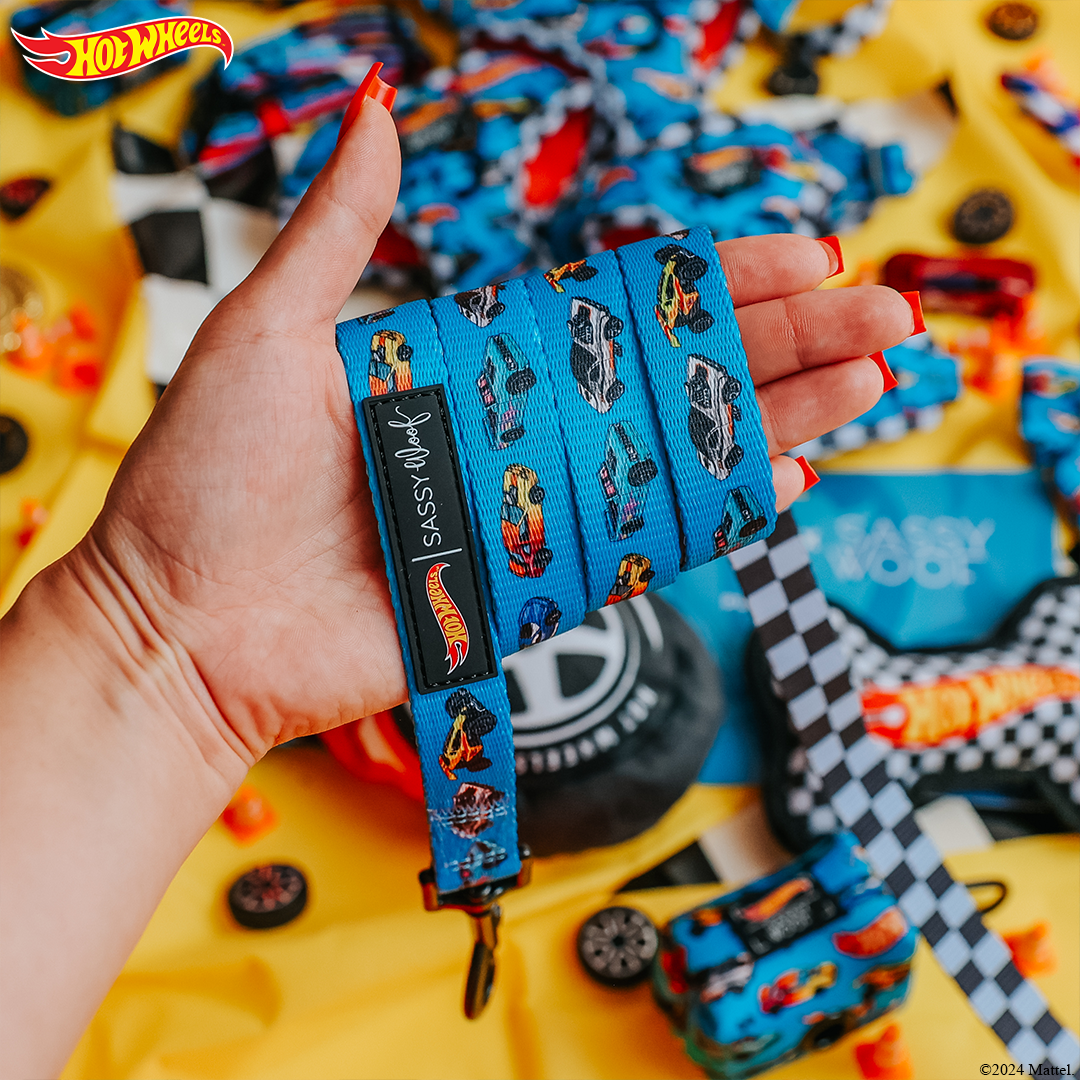SASSY WOOF - Dog Leash - Hot Wheels™