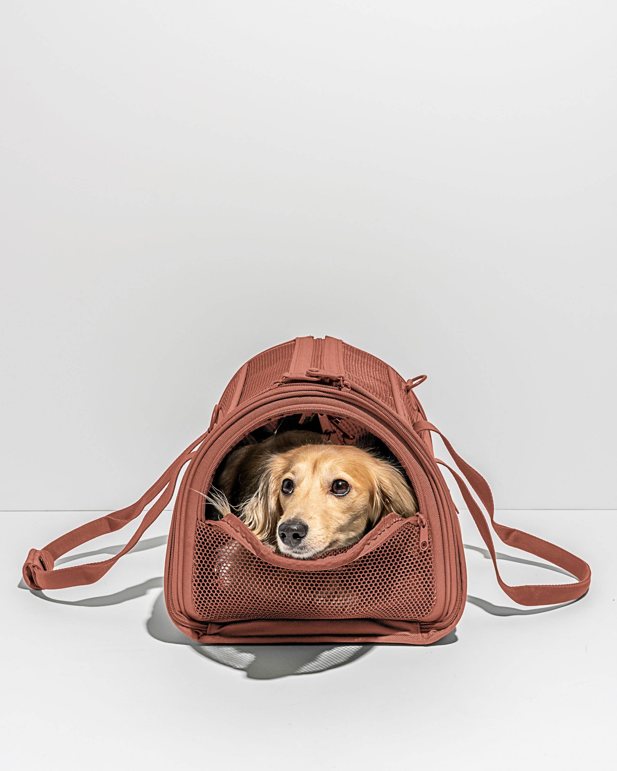 Wild One - Travel TSA Compliant Pet Dog Carrier: Tan