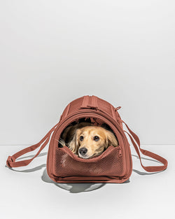 Wild One - Travel TSA Compliant Pet Dog Carrier: Spruce