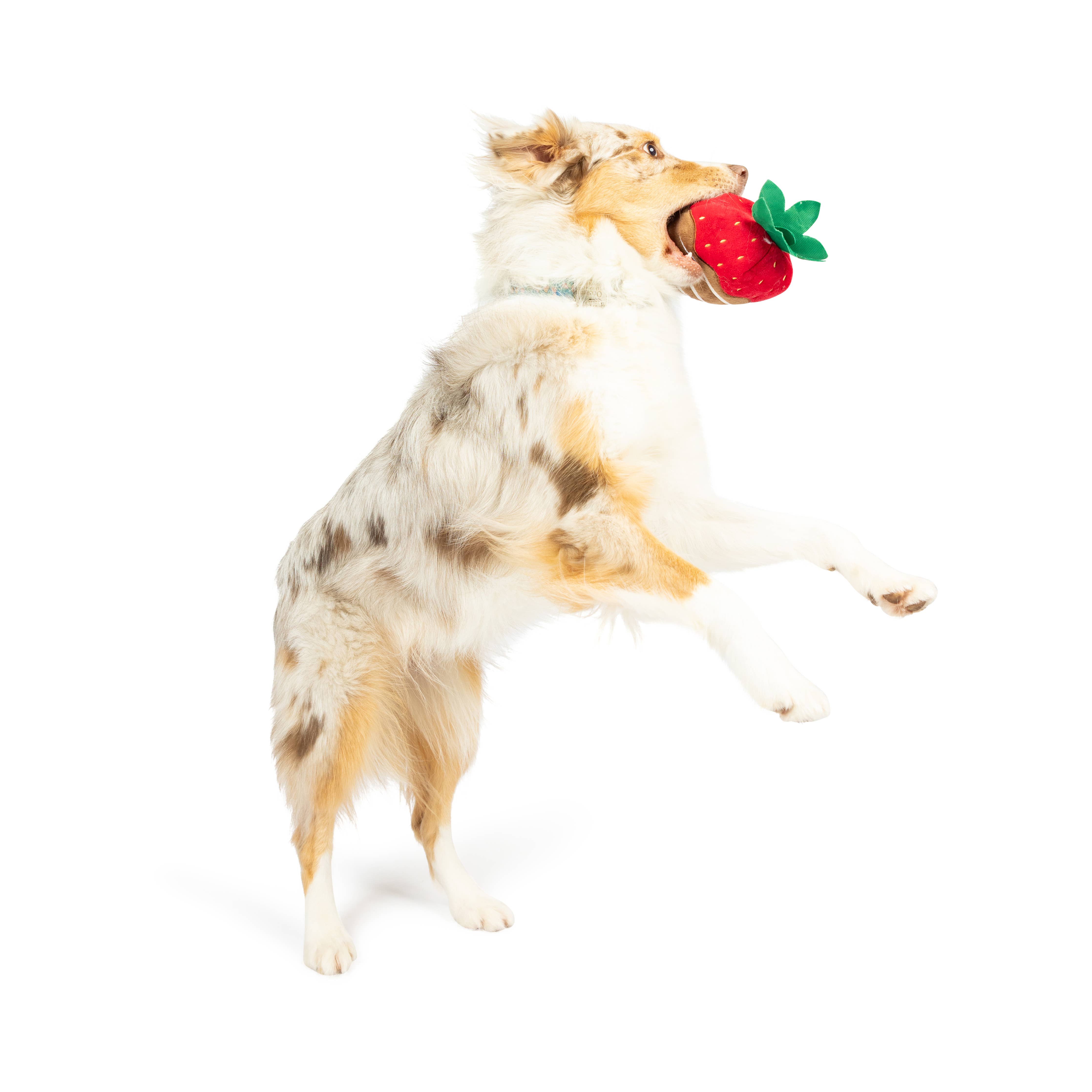 Huxley & Kent - Chocolate Strawberry Dog Toy: Small