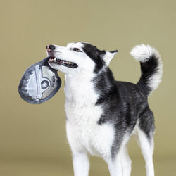 Wagsdale - WATCH YOUR FINGERS DURABLE DOG TOY