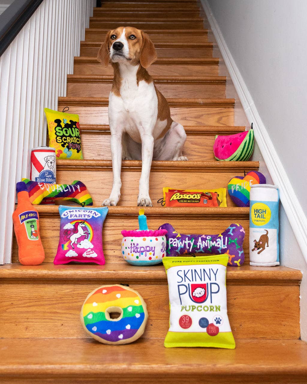 Huxley & Kent - Sour Scratch Dog Toy: Small