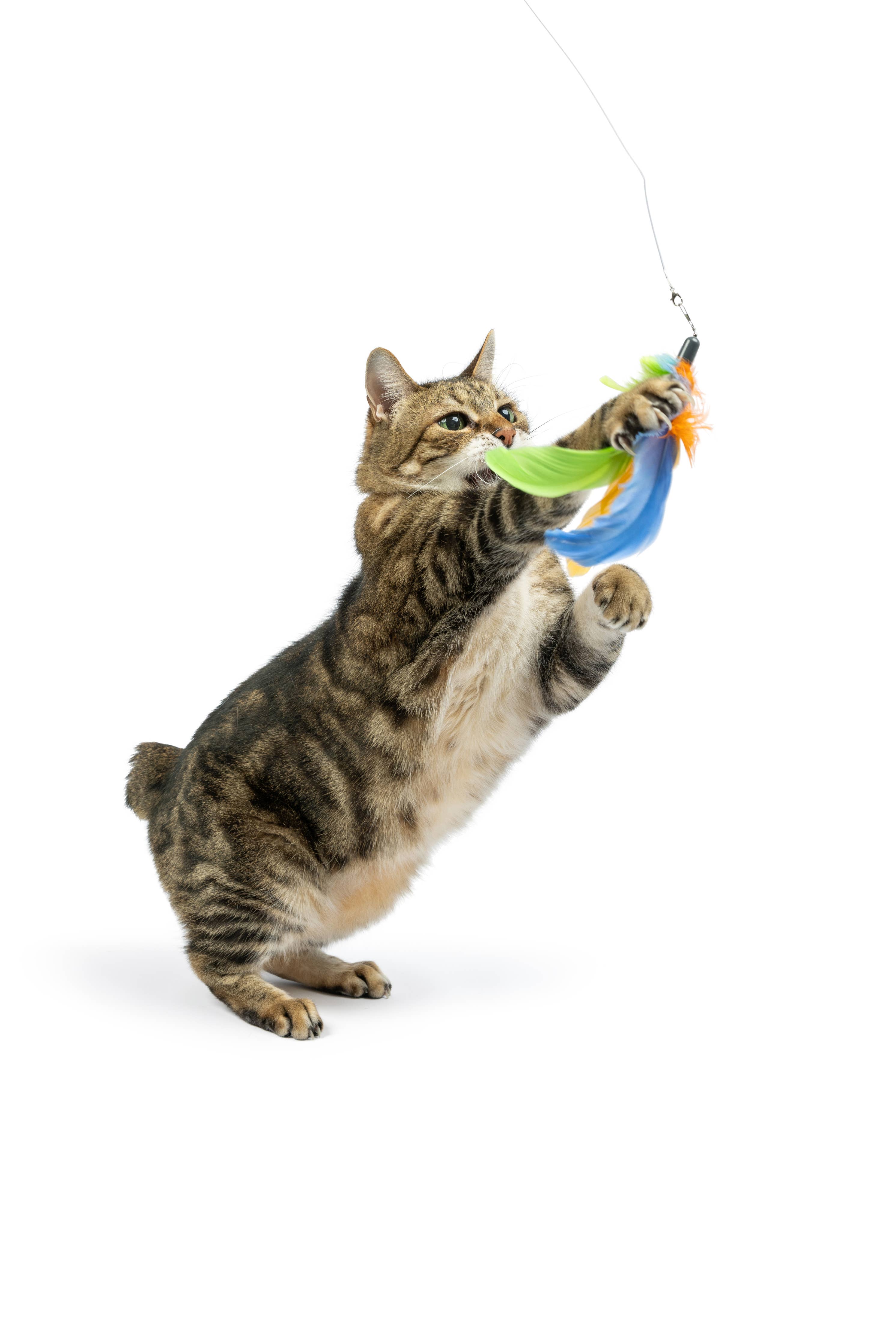 Huxley & Kent - Teaser Sour Scratch Wand Cat Toy: One Size