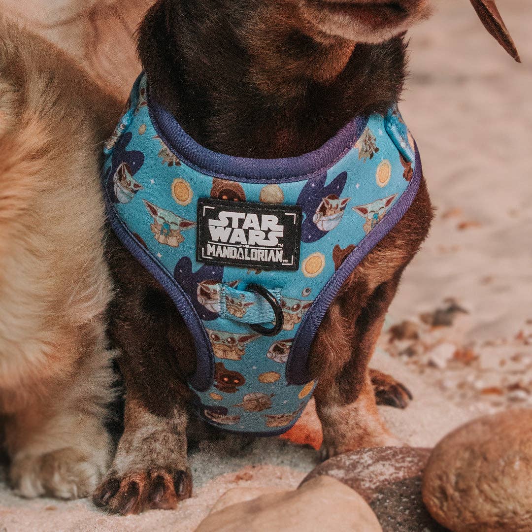 SASSY WOOF - Dog Adjustable Harness - STAR WARS™ The Mandalorian™: XLarge