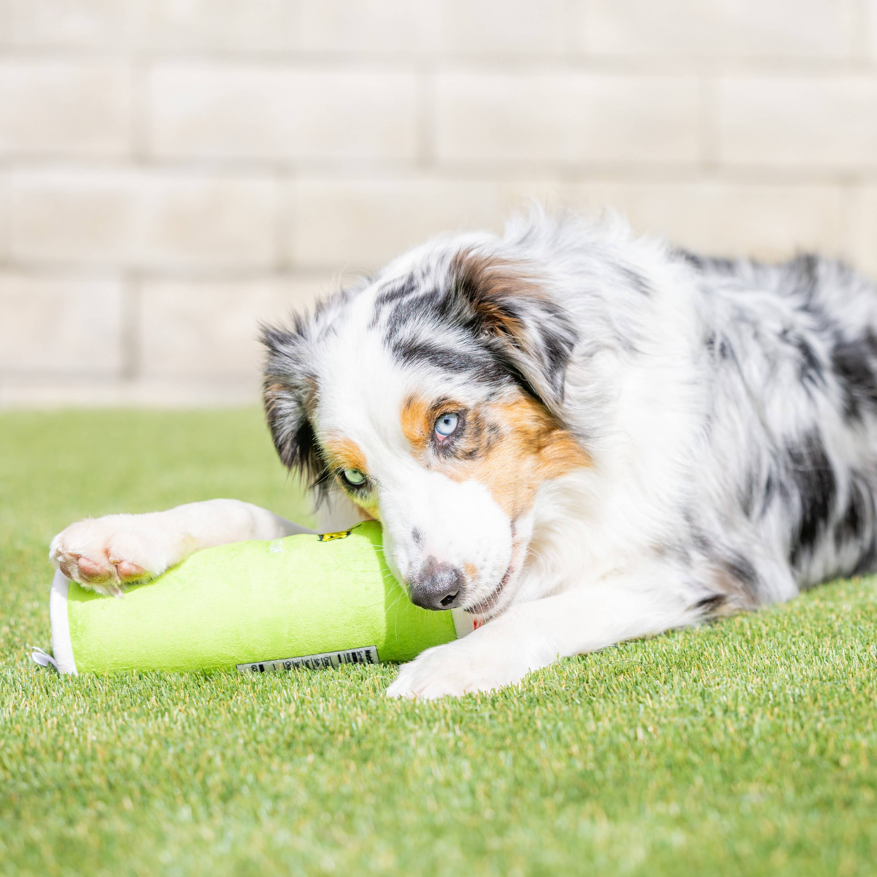 Huxley & Kent - Puggles Can For Dogs: Small